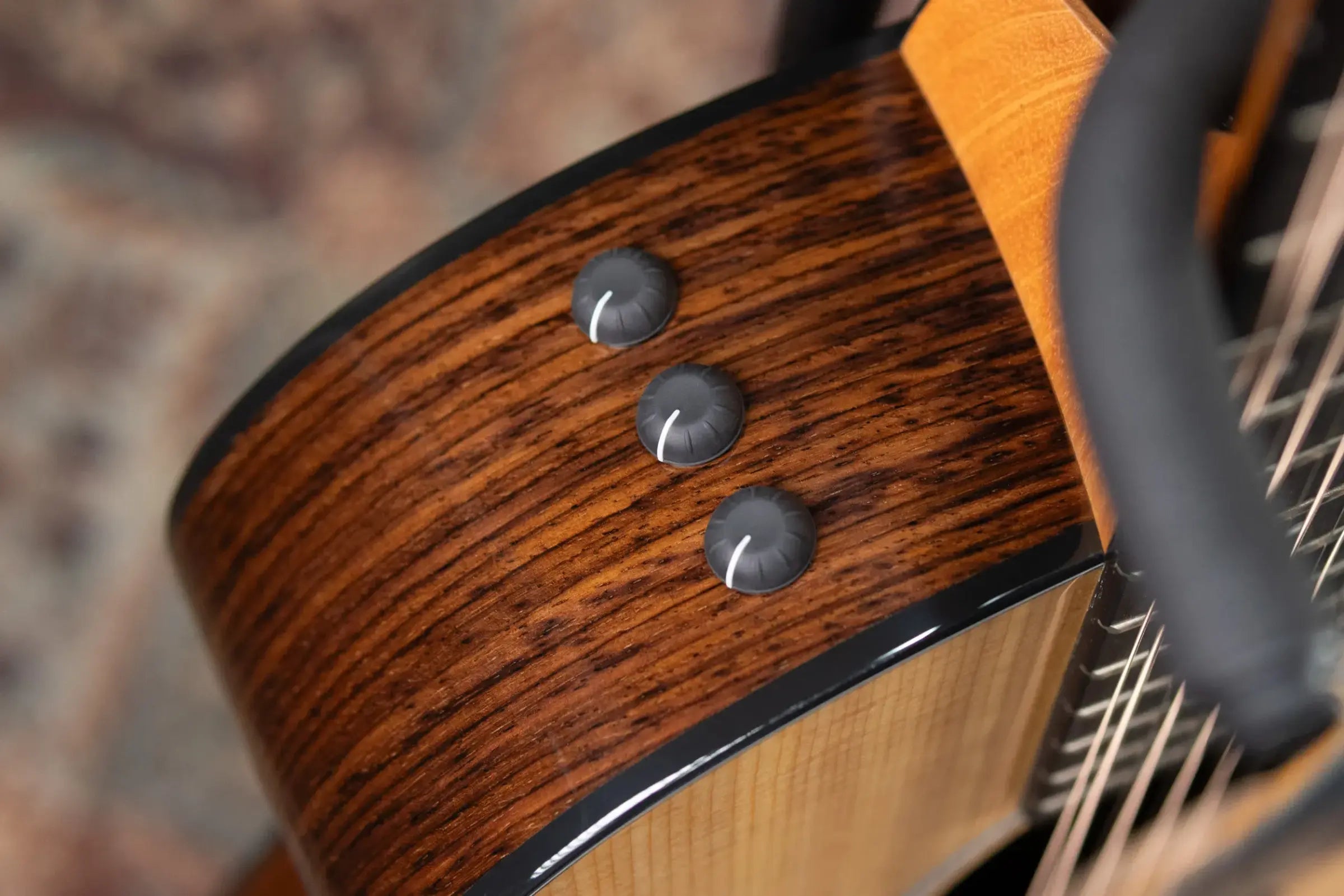 Taylor 254ce Plus 12-String Grand Auditorium Acoustic/Electric Guitar with Aerocase