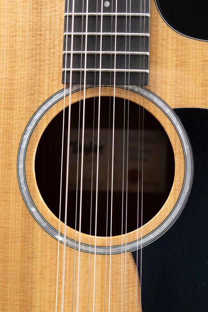 Taylor 254ce Plus 12-String Grand Auditorium Acoustic/Electric Guitar with Aerocase