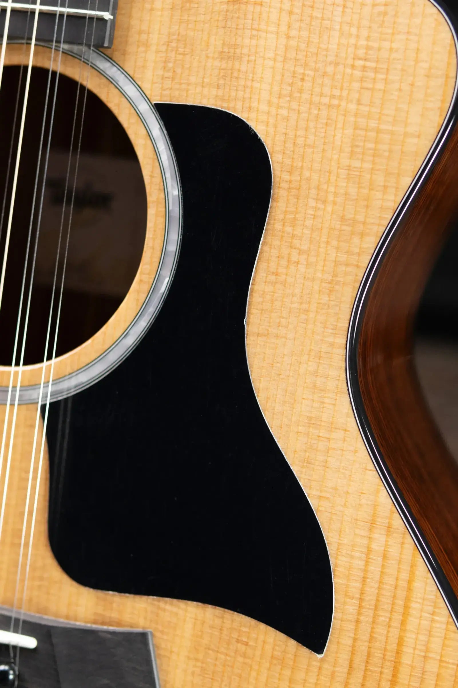 Taylor 254ce Plus 12-String Grand Auditorium Acoustic/Electric Guitar with Aerocase