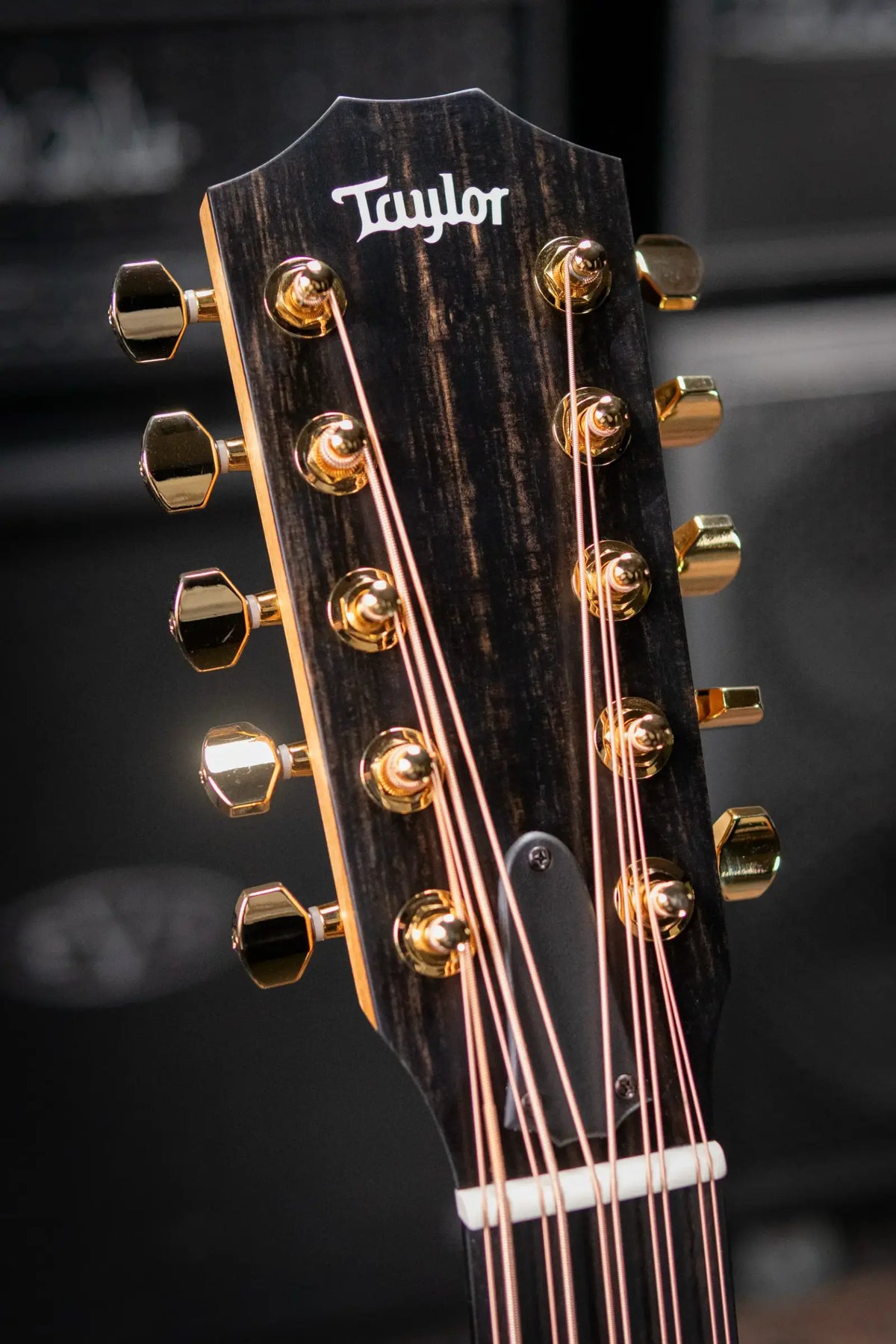 Taylor 260ce-K DLX Bajo Quinto Acoustic/Electric Guitar with Hardshell Case - Demo