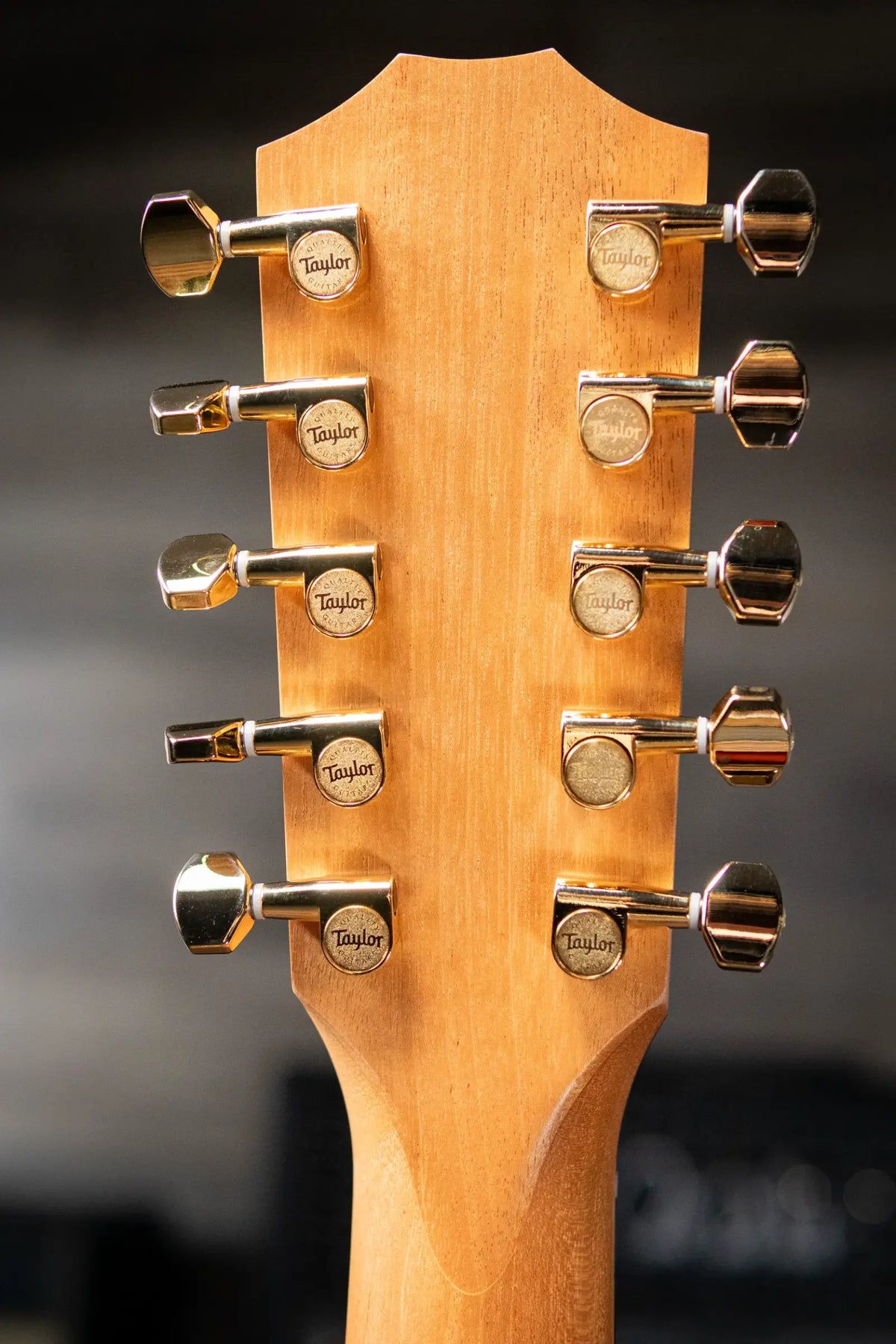 Taylor 260ce-K DLX Bajo Quinto Acoustic/Electric Guitar with Hardshell Case - Demo