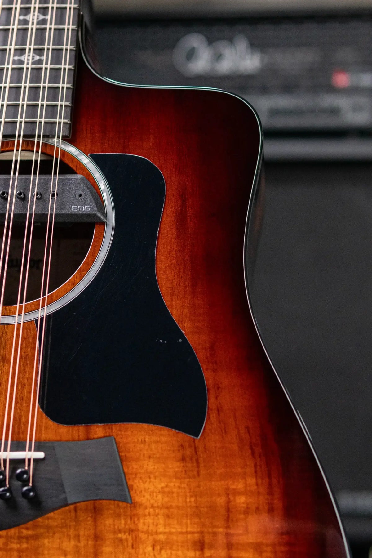 Taylor 260ce-K DLX Bajo Quinto Acoustic/Electric Guitar with Hardshell Case - Demo