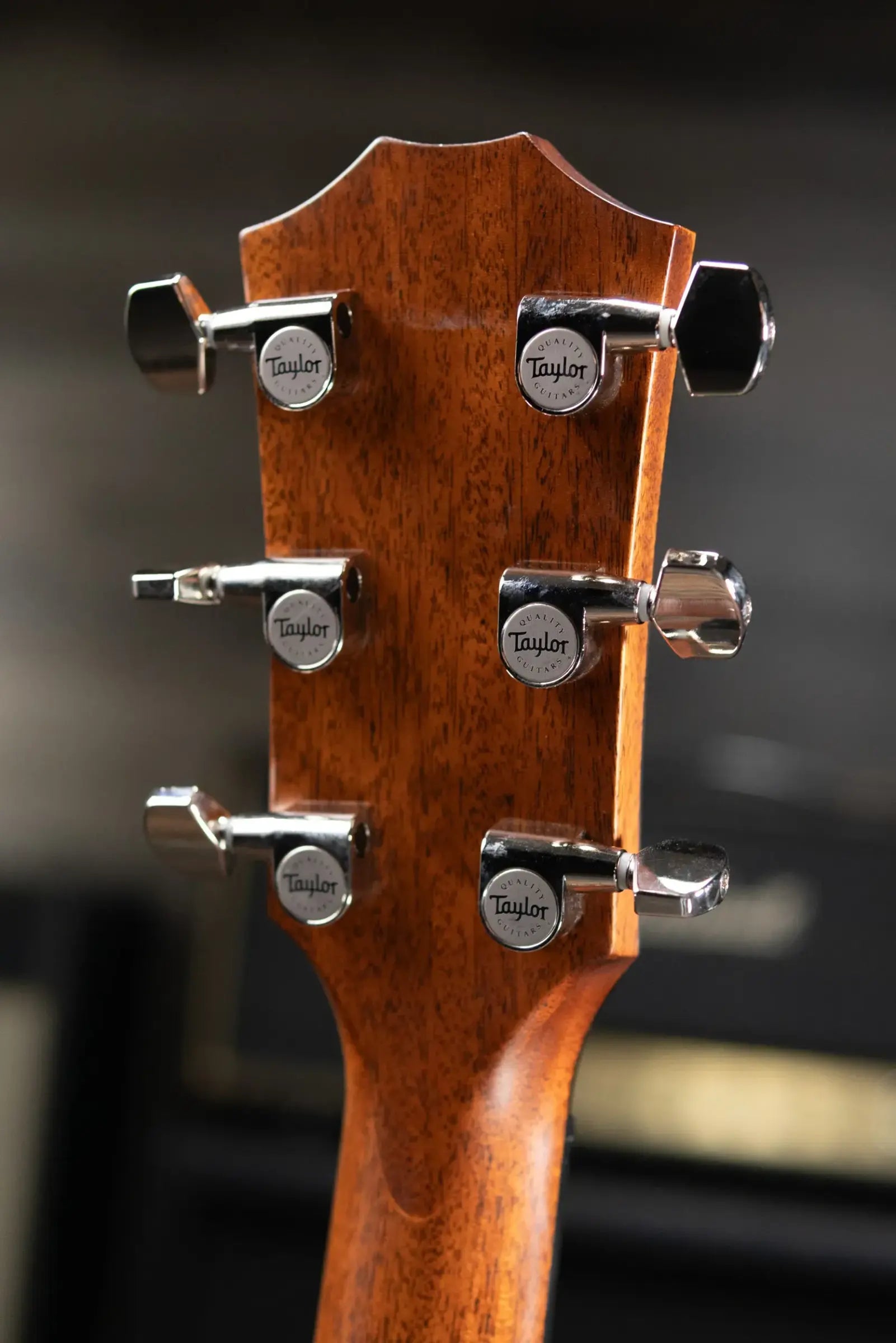 Taylor 312ce Grand Concert Acoustic-Electric Guitar with Hardshell Case - Used