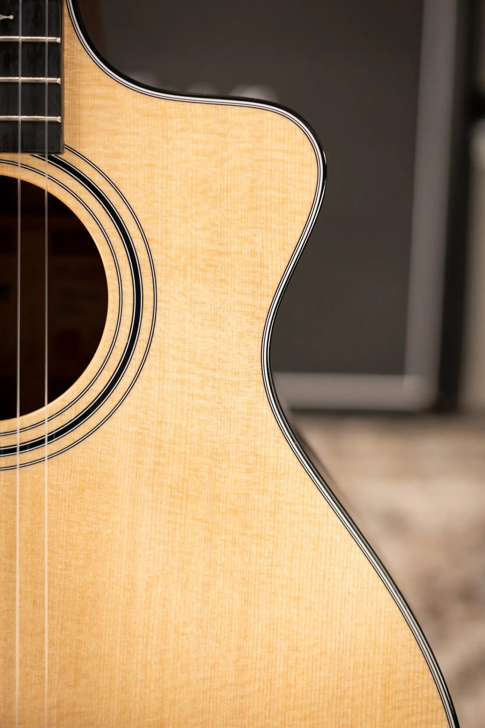 Taylor 312ce-N Nylon Grand Concert Acoustic/Electric Guitar with Hardshell Case