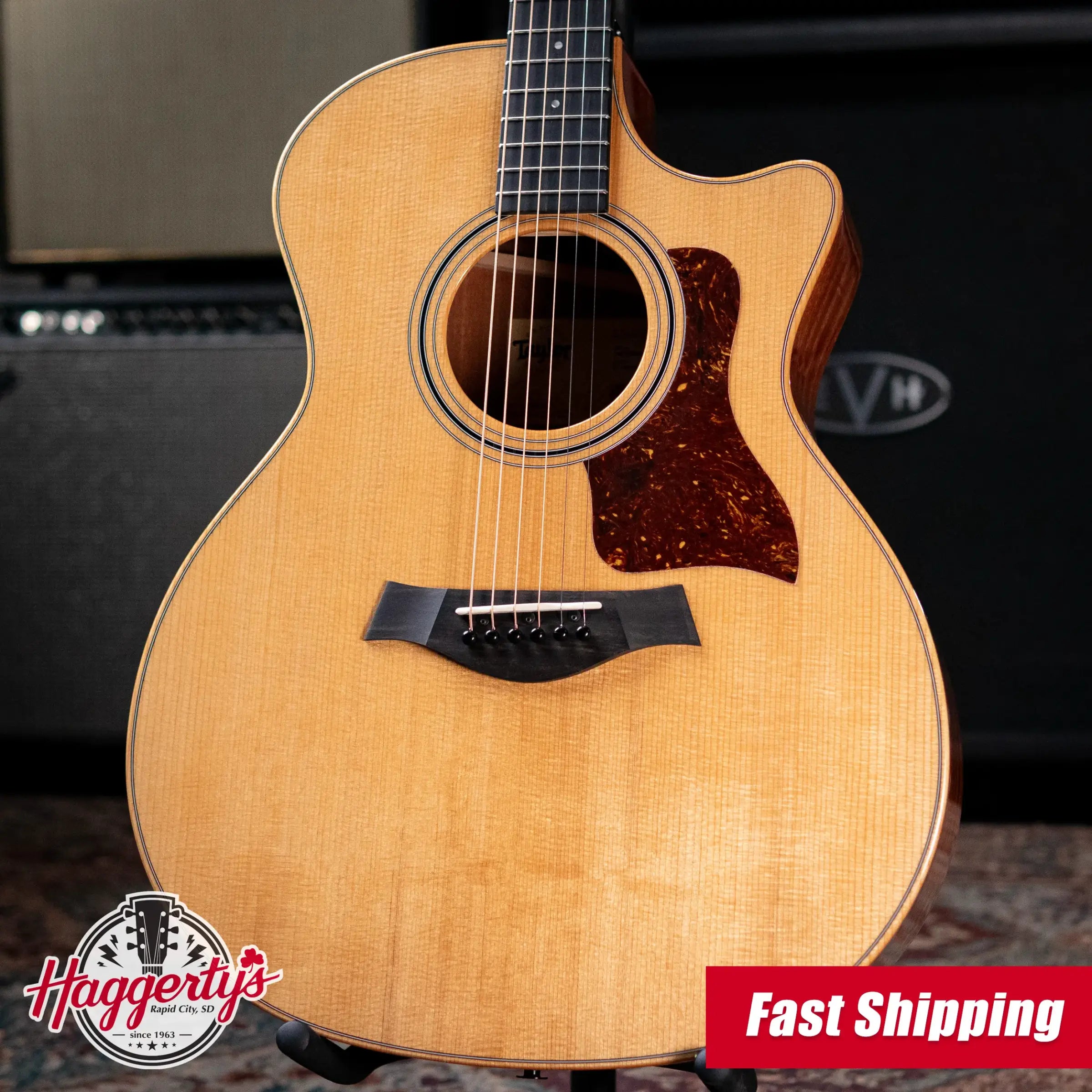 Taylor 314ce Studio Acoustic-Electric Guitar - Natural with Structured Gig Bag