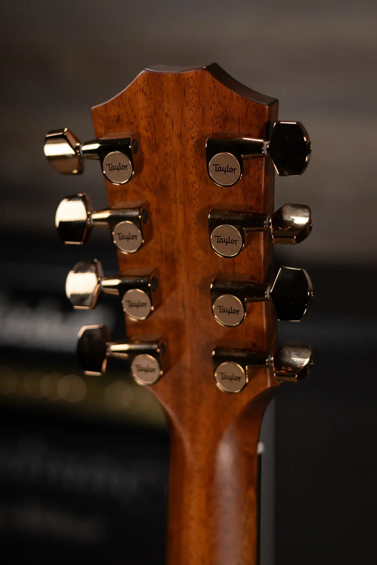 Taylor 414ce Baritone-8 Special Edition Grand Auditorium Acoustic/Electric Guitar with Hardshell Case