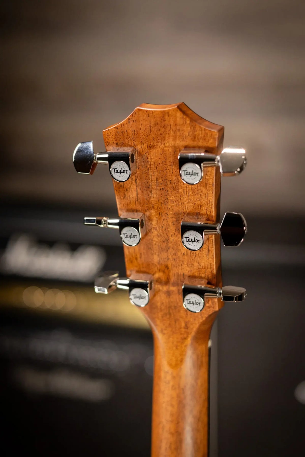 Taylor 414ce Studio Grand Auditorium Acoustic/Electric Guitar - Natural with Gig Bag