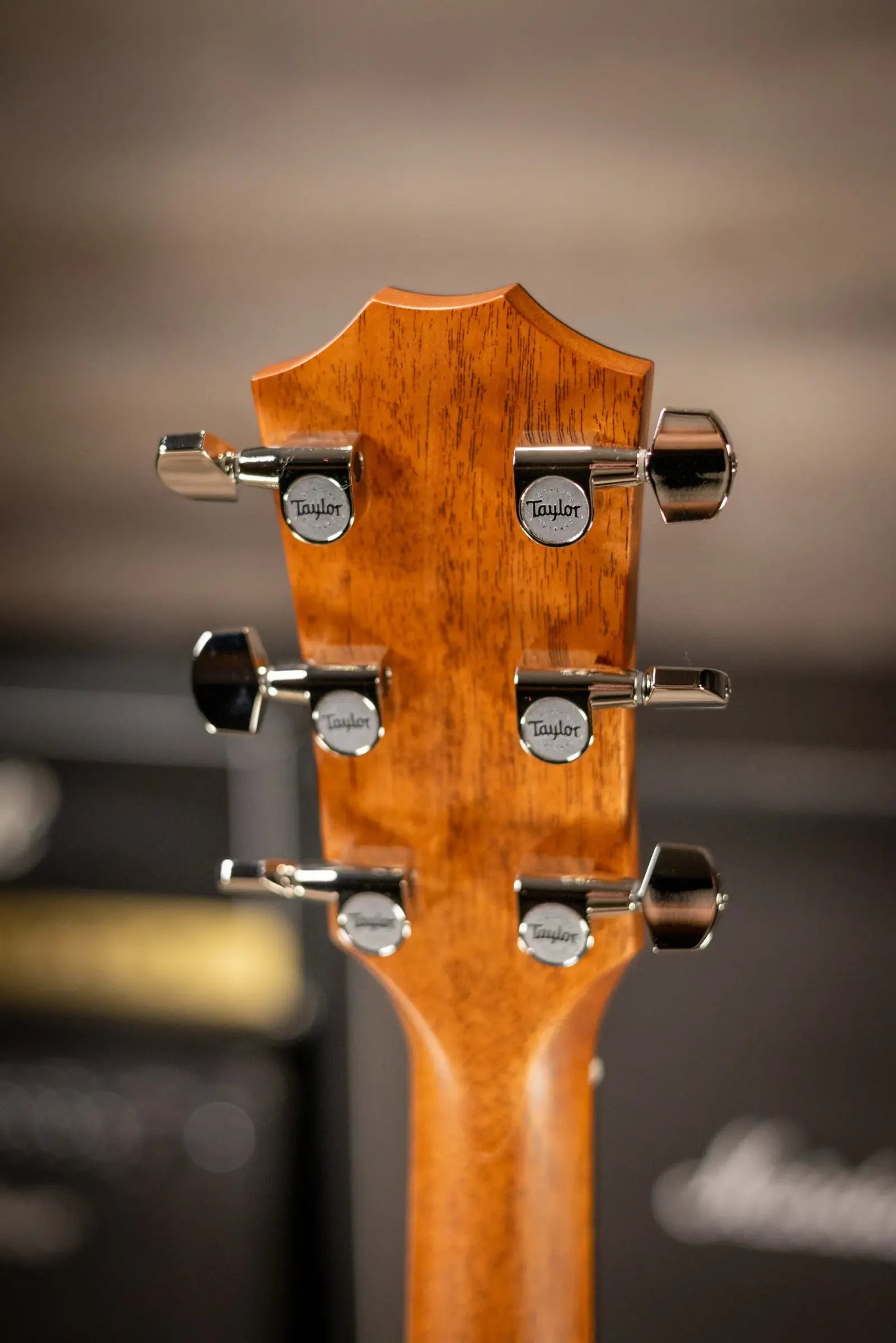 Taylor 414ce Studio Grand Auditorium Acoustic/Electric Guitar - Shaded Edge Burst with Gig Bag