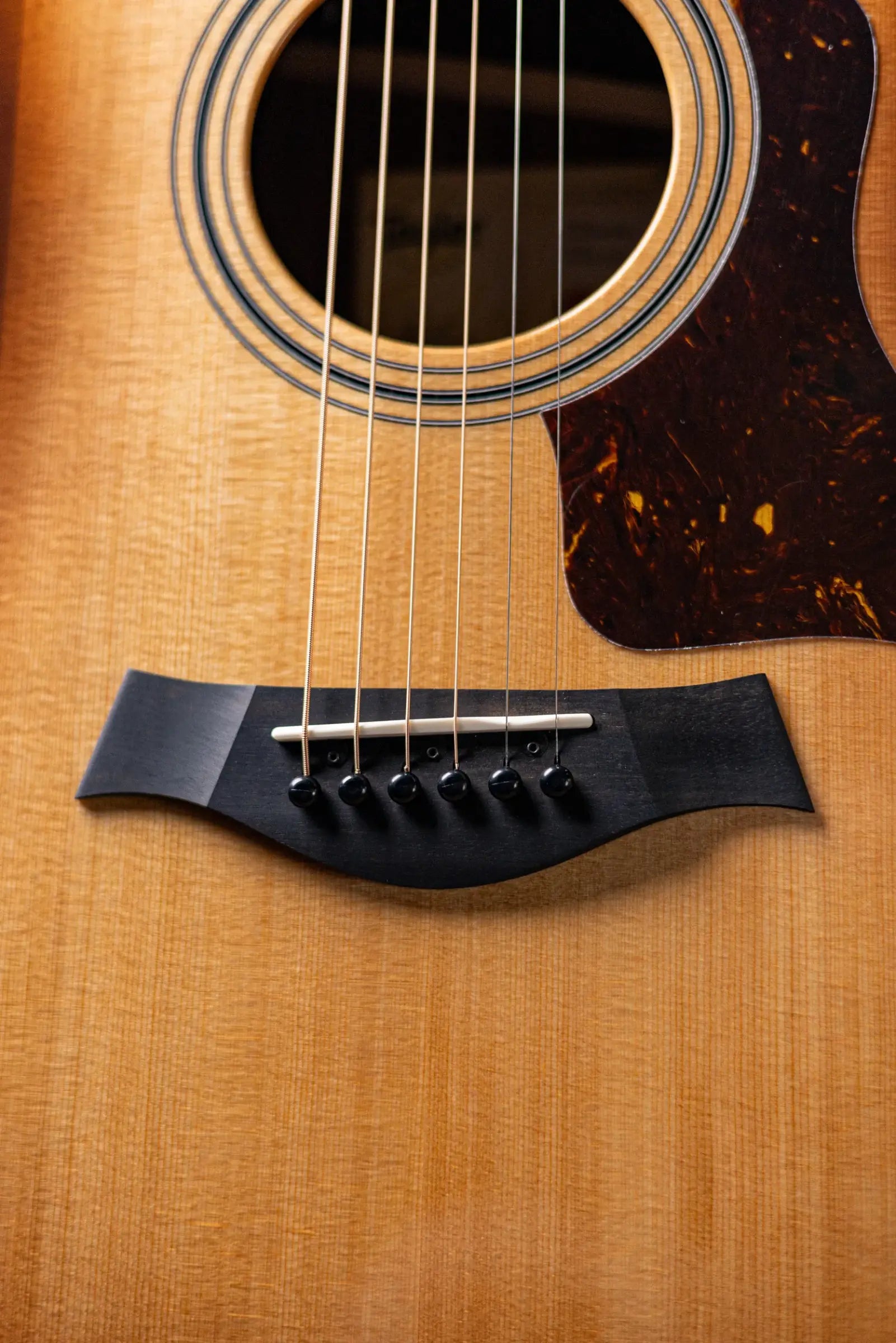 Taylor 414ce Studio Grand Auditorium Acoustic/Electric Guitar - Shaded Edgeburst with Gig Bag