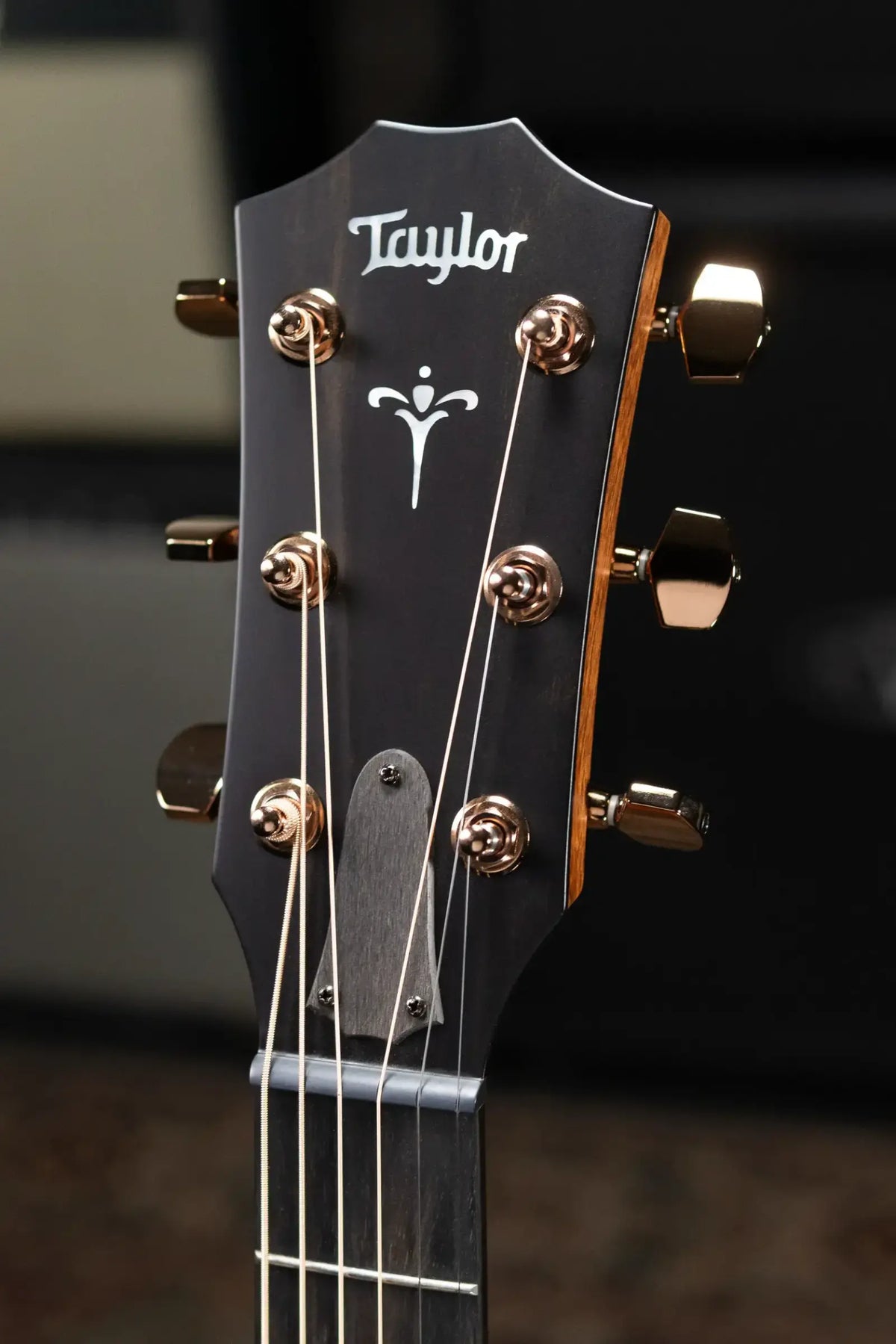Taylor 724ce Grand Auditorium Acoustic/Electric Guitar with Hardshell Case