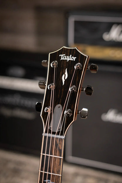 Taylor 814ce LTD Cocobolo Grand Auditorium Acoustic/Electric Guitar - Natural with Hardshell Case