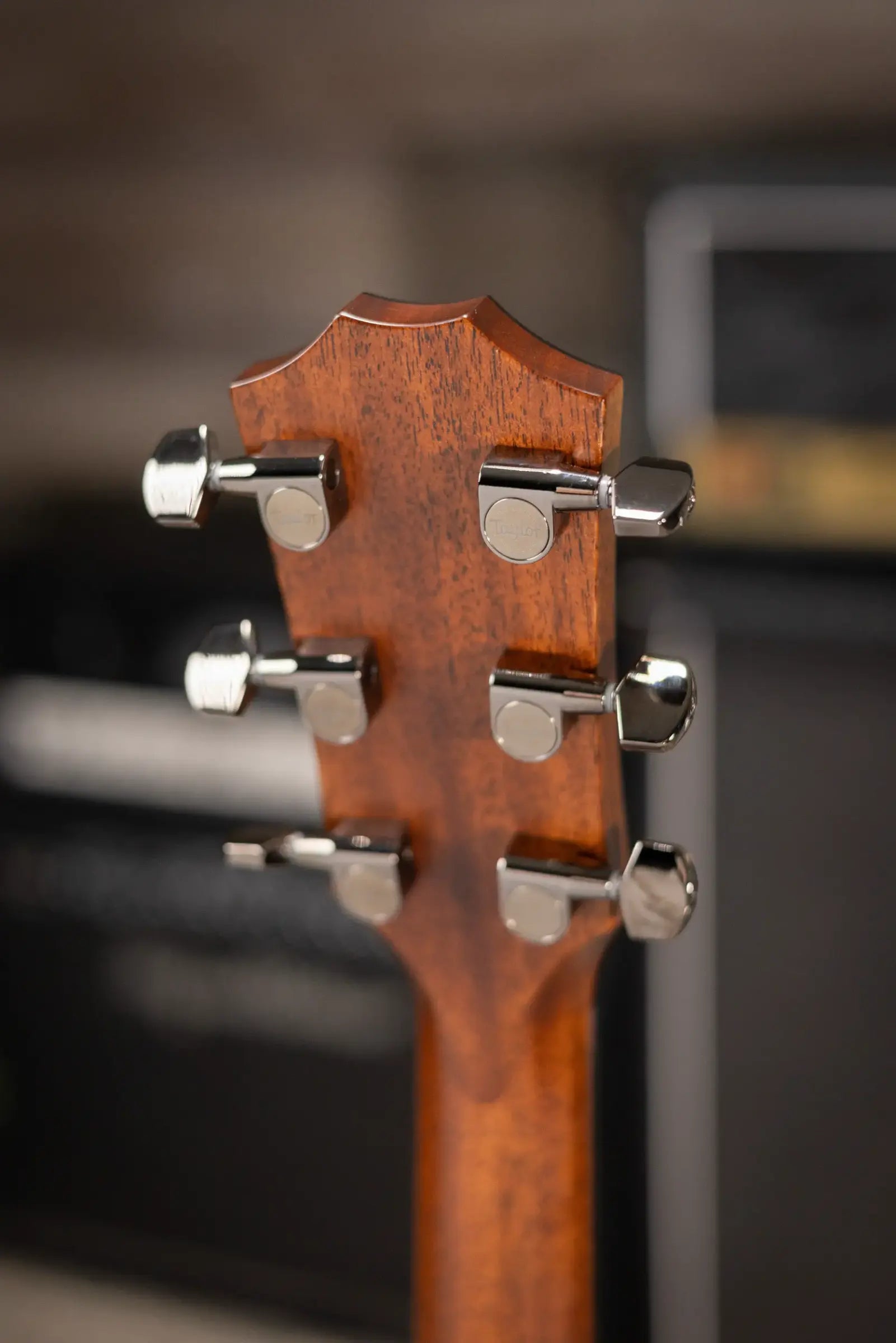 Taylor 814ce LTD Cocobolo Grand Auditorium Acoustic/Electric Guitar - Natural with Hardshell Case