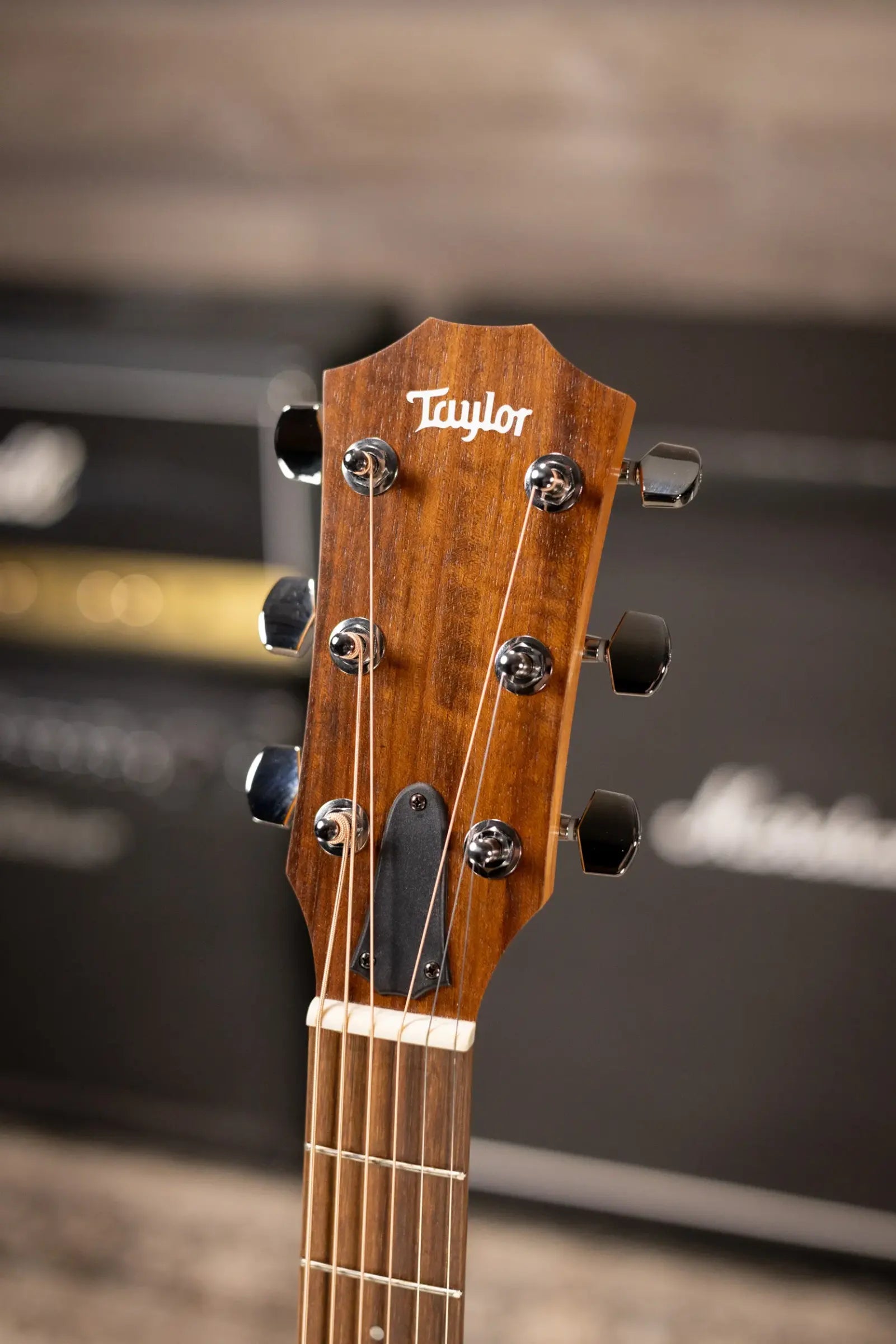 Taylor Academy 10e Dreadnought Acoustic/Electric Guitar with Gig Bag