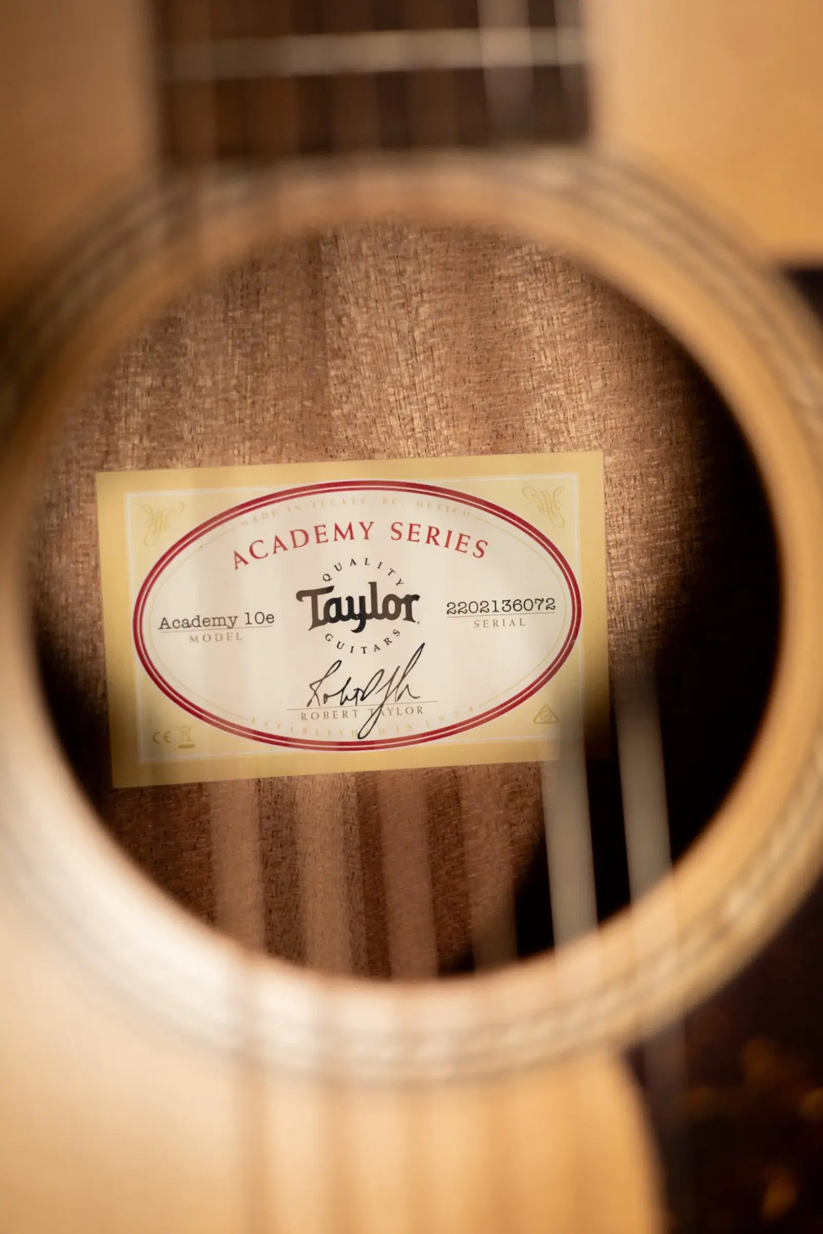 Taylor Academy 10e Dreadnought Acoustic/Electric Guitar with Gig Bag