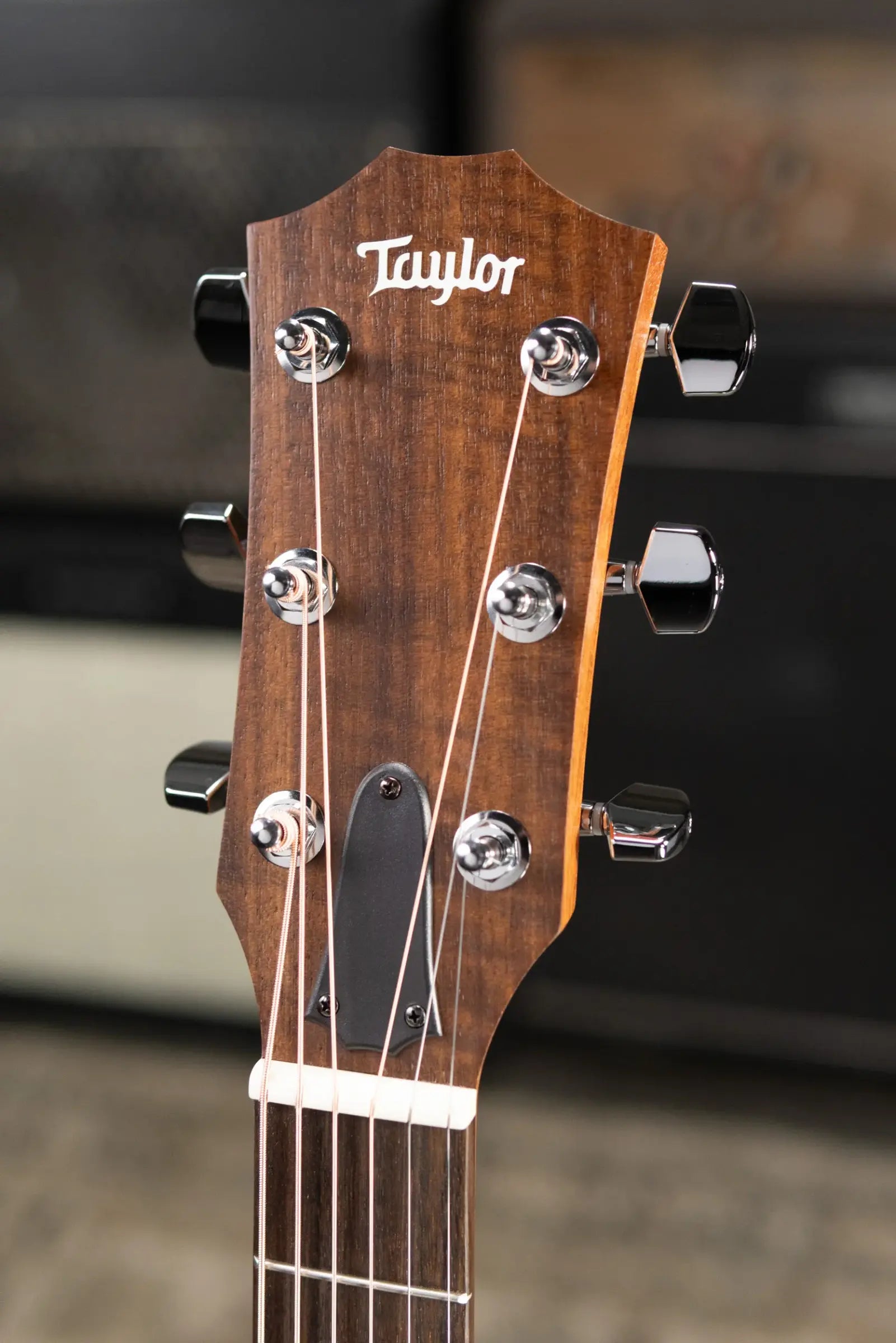 Taylor Academy 10e Dreadnought Acoustic/Electric Guitar with Gig Bag