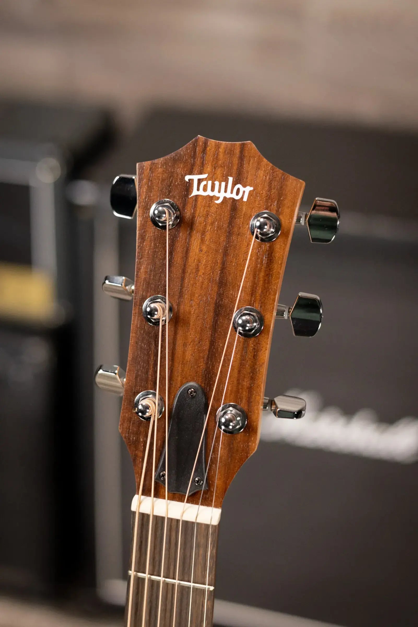 Taylor Academy 10e Dreadnought Acoustic/Electric Guitar with Gig Bag
