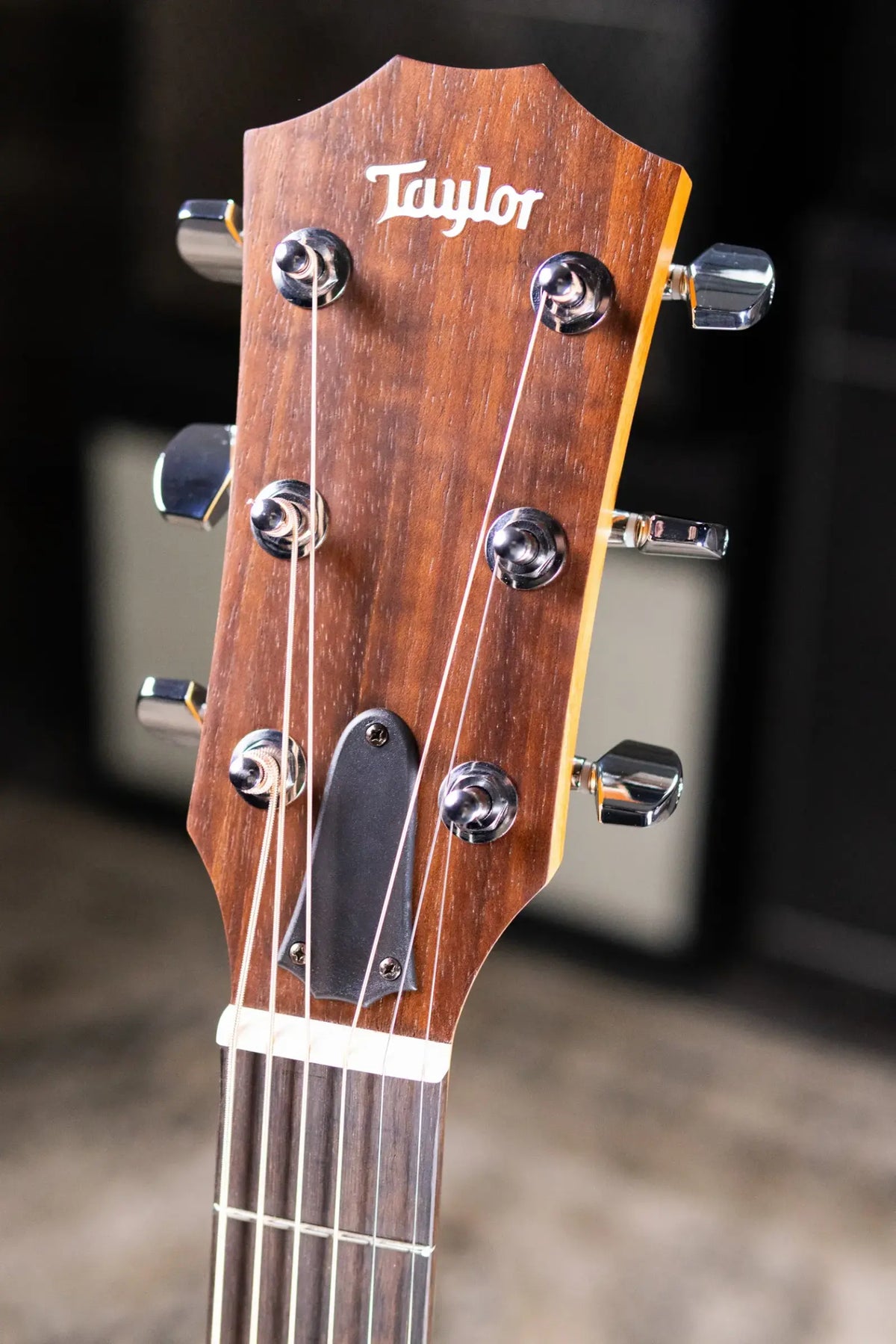 Taylor Academy 10e Dreadnought Acoustic/Electric Guitar with Gig Bag