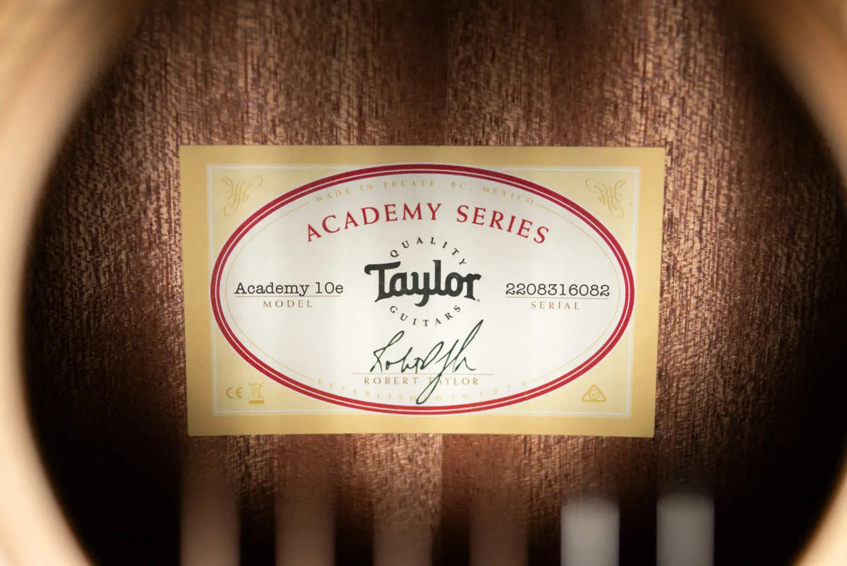 Taylor Academy 10e Dreadnought Acoustic/Electric Guitar with Gig Bag