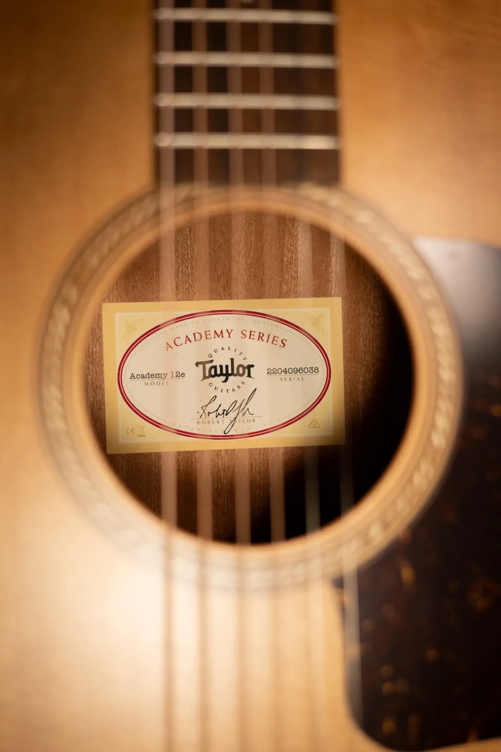 Taylor Academy 12e Grand Concert Acoustic/Electric Guitar with Gig Bag