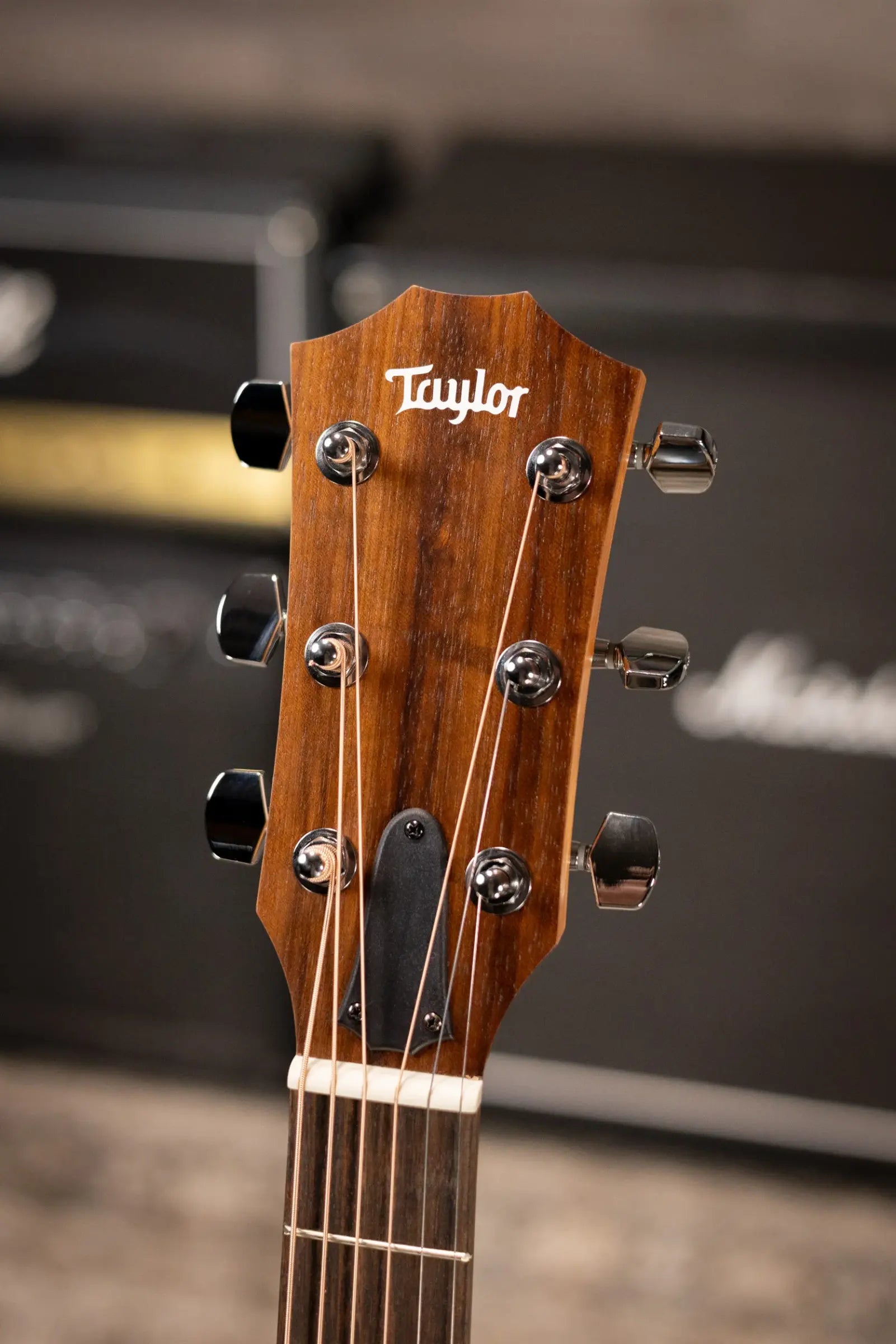 Taylor Academy 12e Grand Concert Acoustic/Electric Guitar with Gig Bag