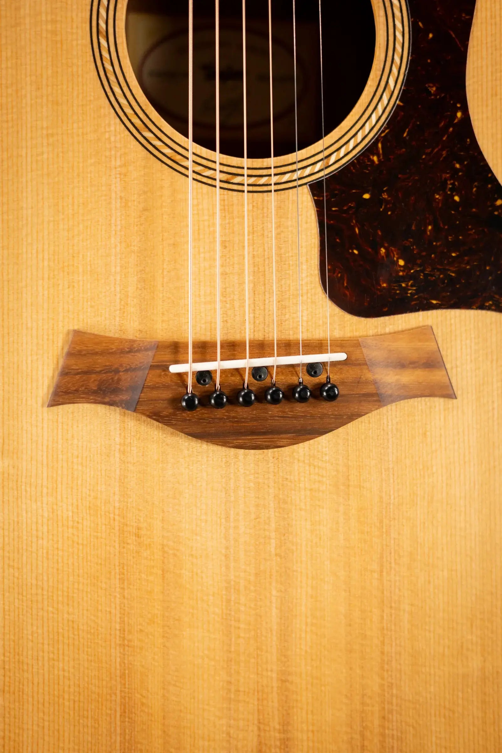 Taylor Academy 12e Grand Concert Acoustic/Electric Guitar with Gig Bag