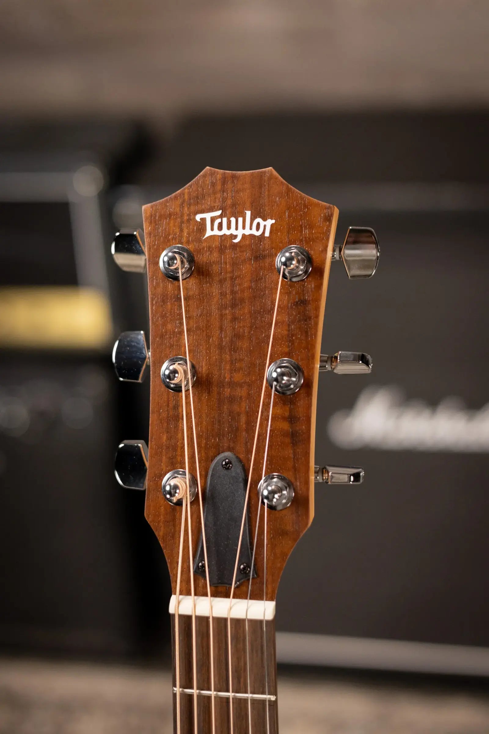 Taylor Academy 12e Grand Concert Acoustic/Electric Guitar with Gig Bag