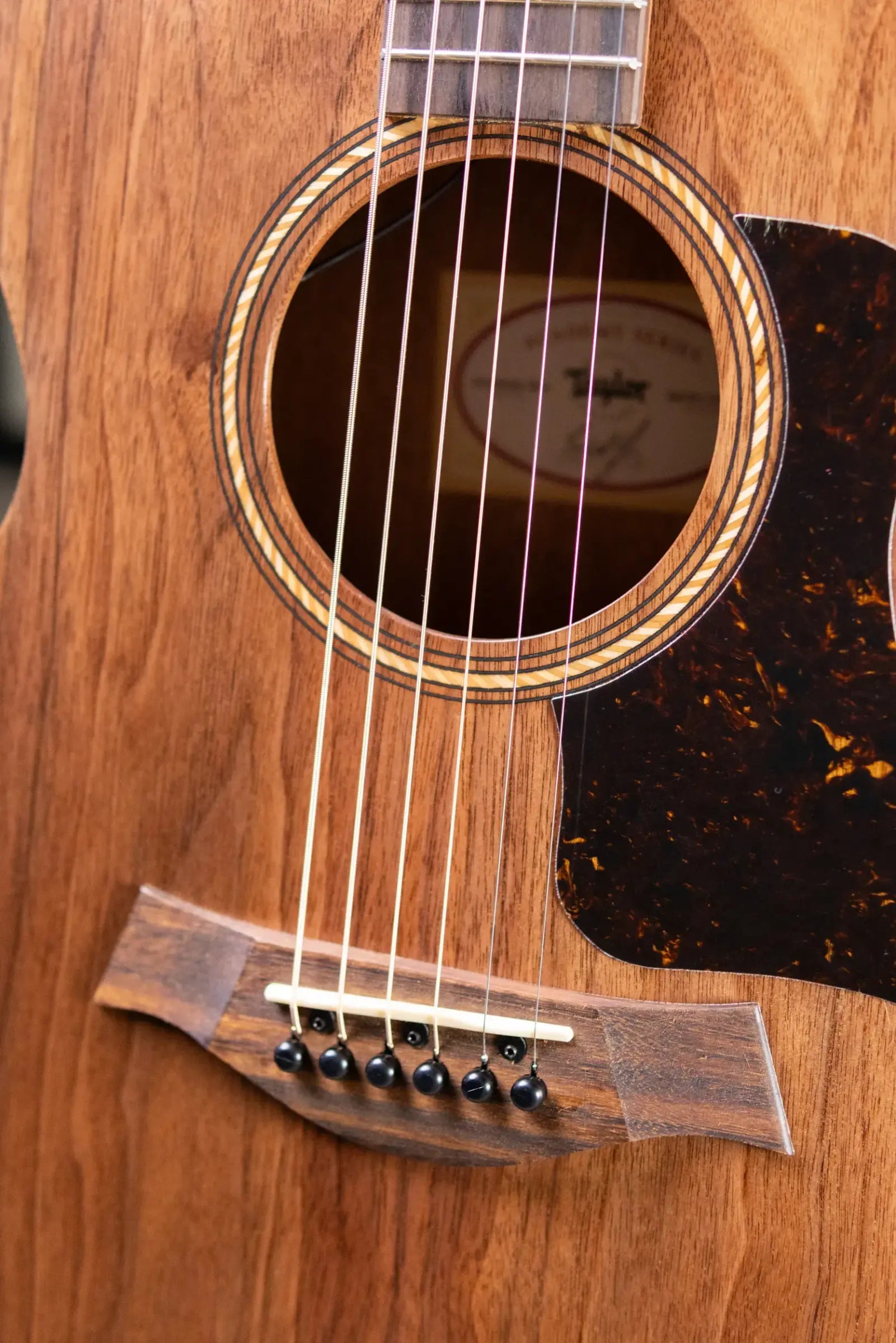 Taylor Academy 22e Grand Concert Acoustic/Electric Guitar with Gig Bag