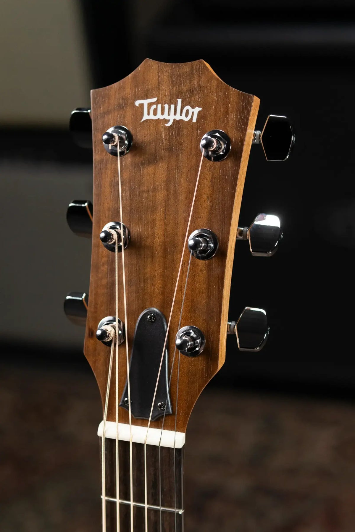Taylor Academy 22e Grand Concert Acoustic/Electric Guitar with Gig Bag