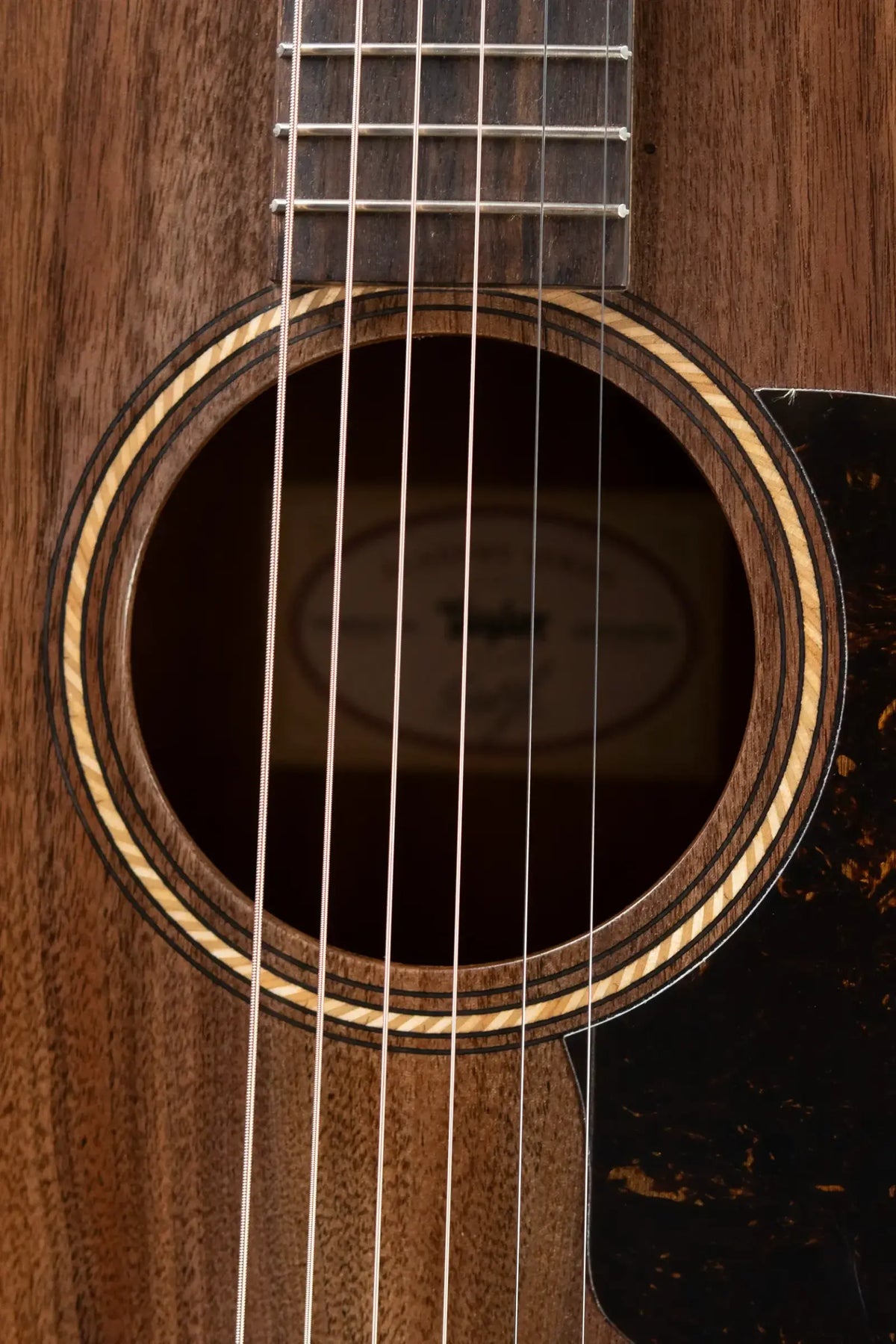 Taylor Academy 22e Grand Concert Acoustic/Electric Guitar with Gig Bag