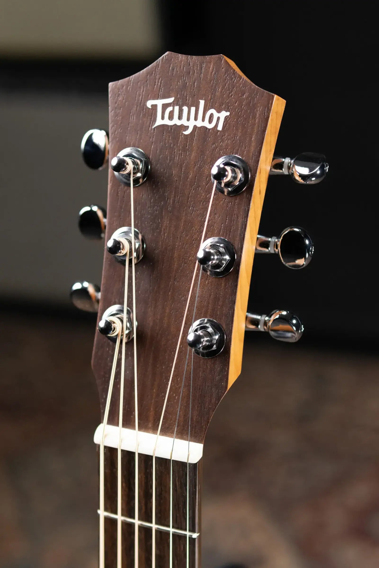 Taylor BT1 Baby Taylor Acoustic Guitar with Gig Bag