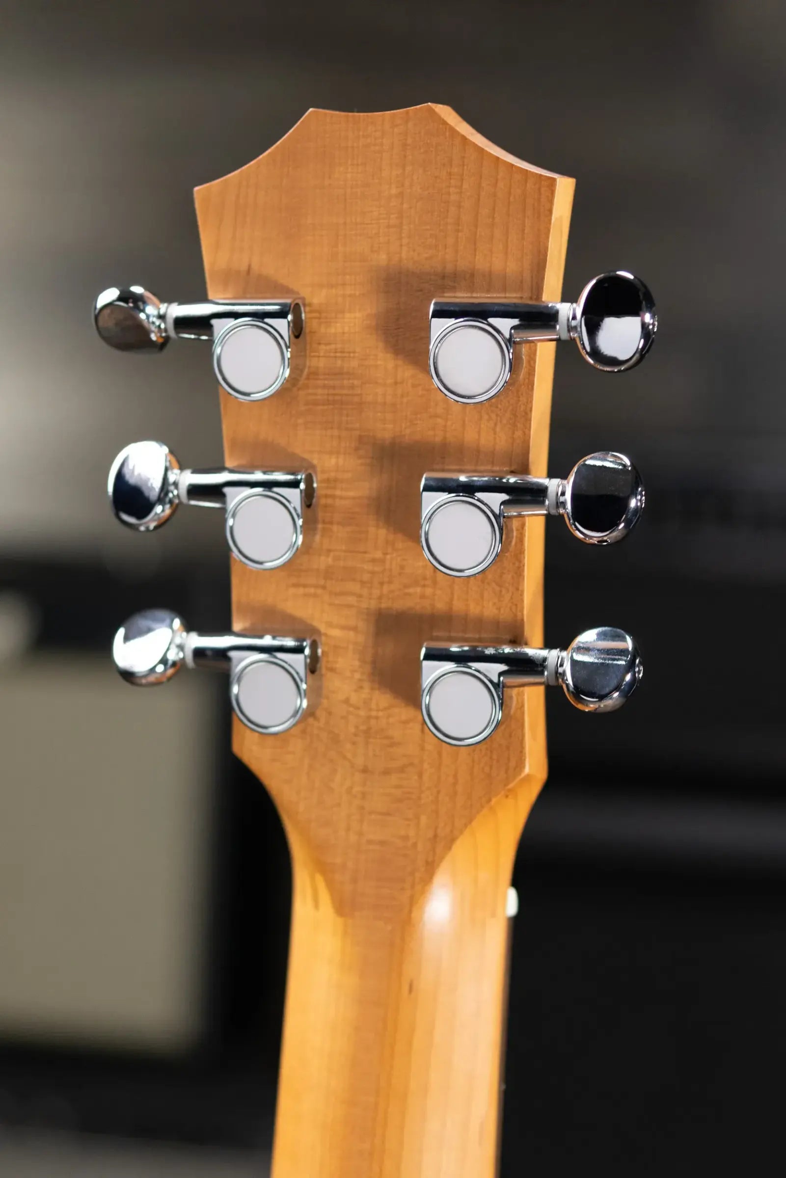 Taylor BT1 Baby Taylor Acoustic Guitar with Gig Bag