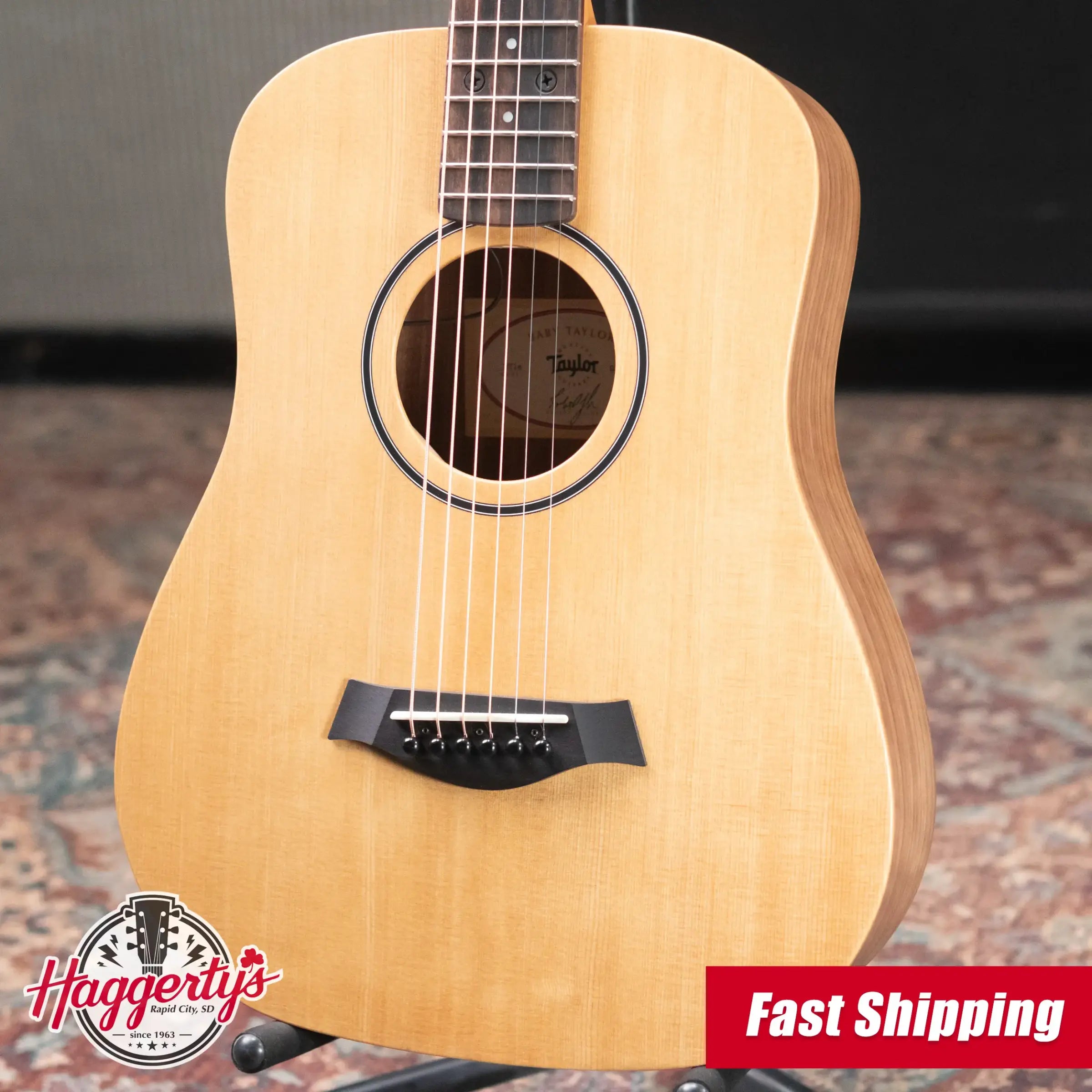 Taylor BT1e Baby Taylor Acoustic-Electric Guitar with Gig Bag