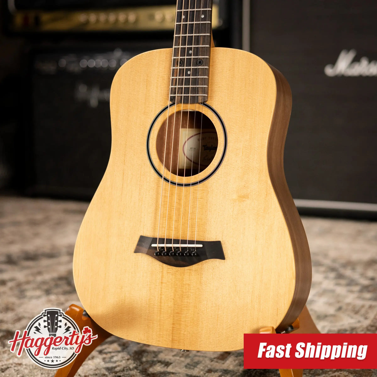 Taylor BT1e Baby Taylor Acoustic/Electric Guitar with Gig Bag