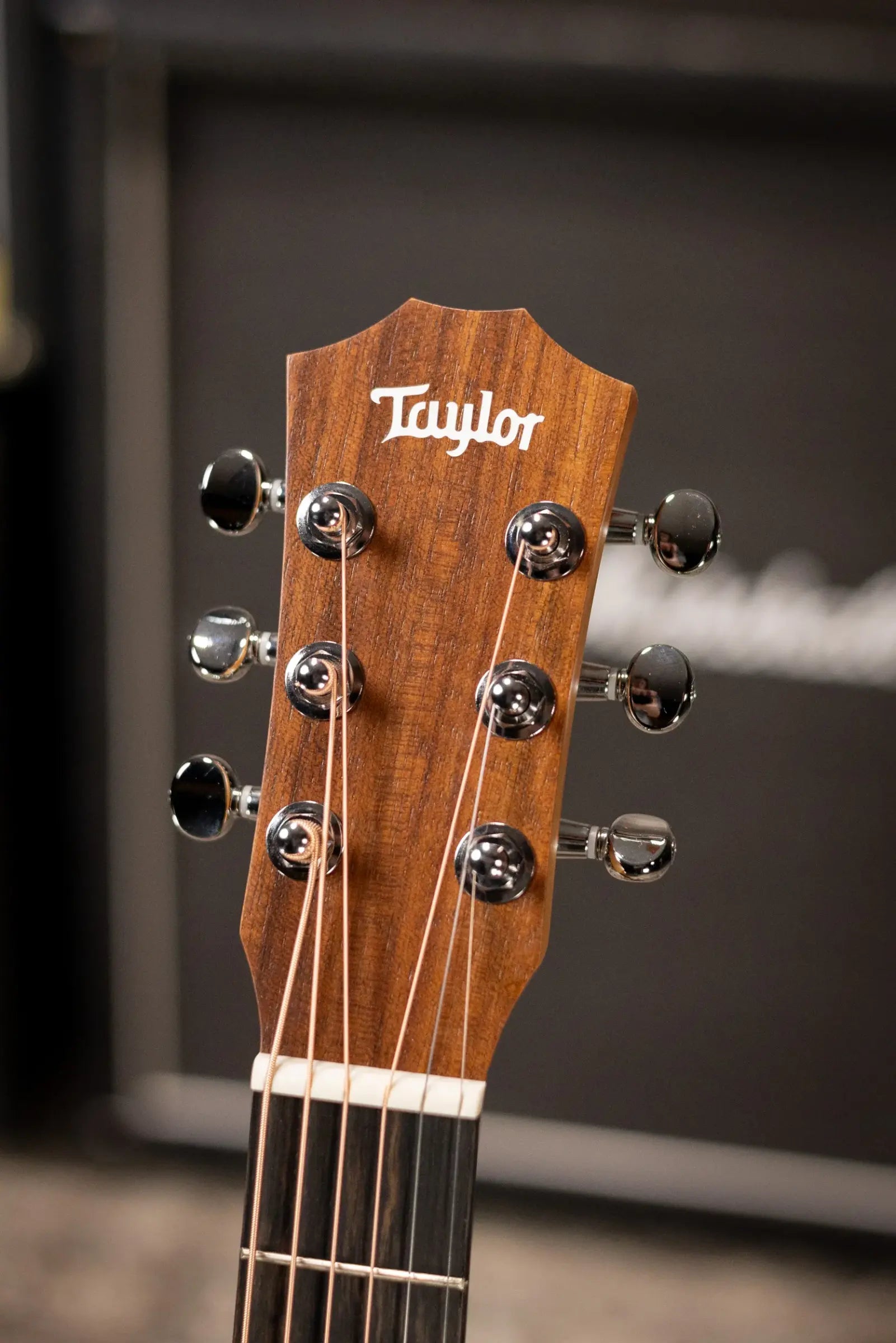Taylor BT1e Baby Taylor Acoustic/Electric Guitar with Gig Bag