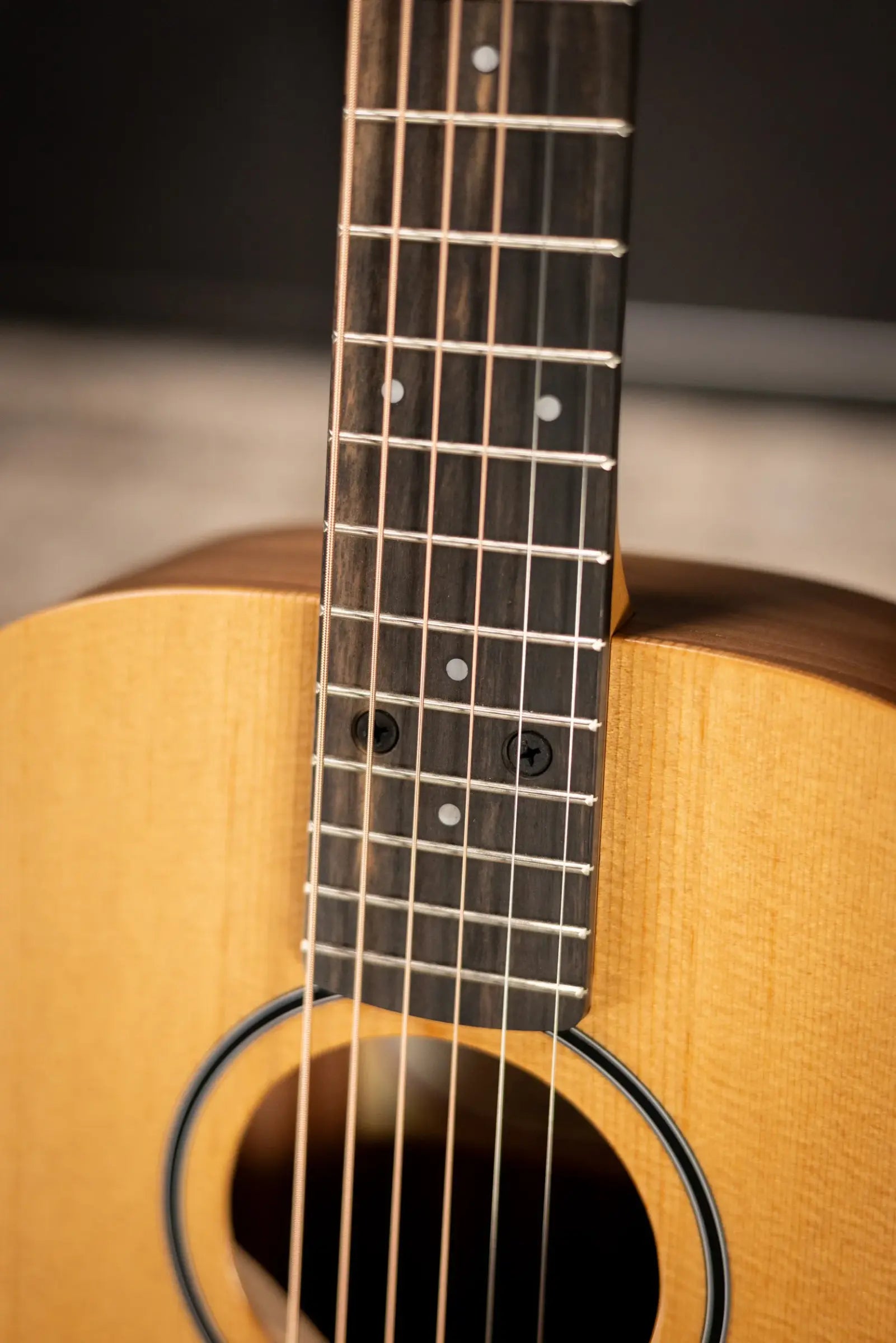 Taylor BT1e Baby Taylor Acoustic/Electric Guitar with Gig Bag