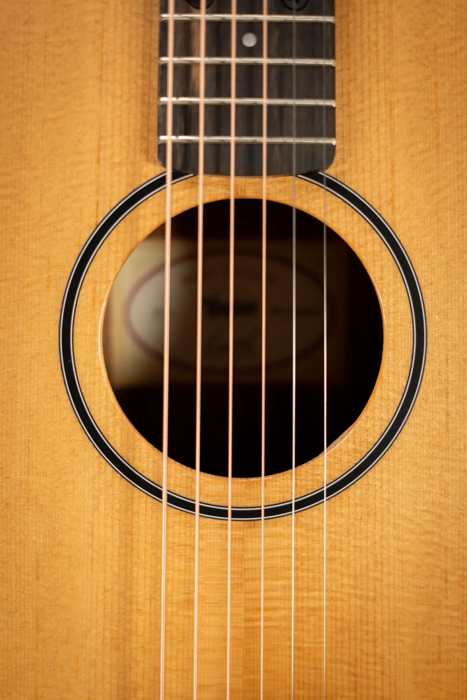 Taylor BT1e Baby Taylor Acoustic/Electric Guitar with Gig Bag