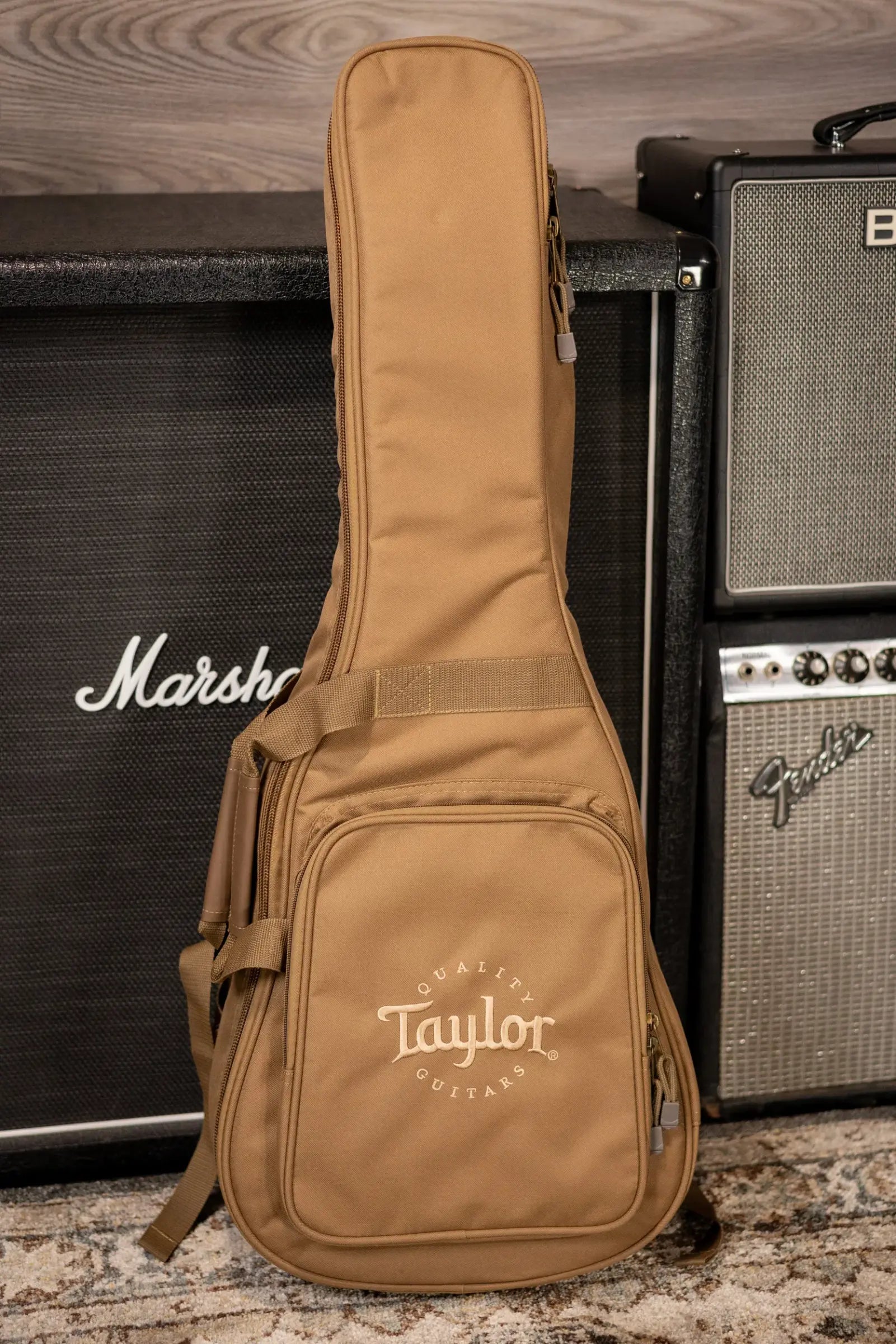 Taylor BT1e Baby Taylor Acoustic/Electric Guitar with Gig Bag