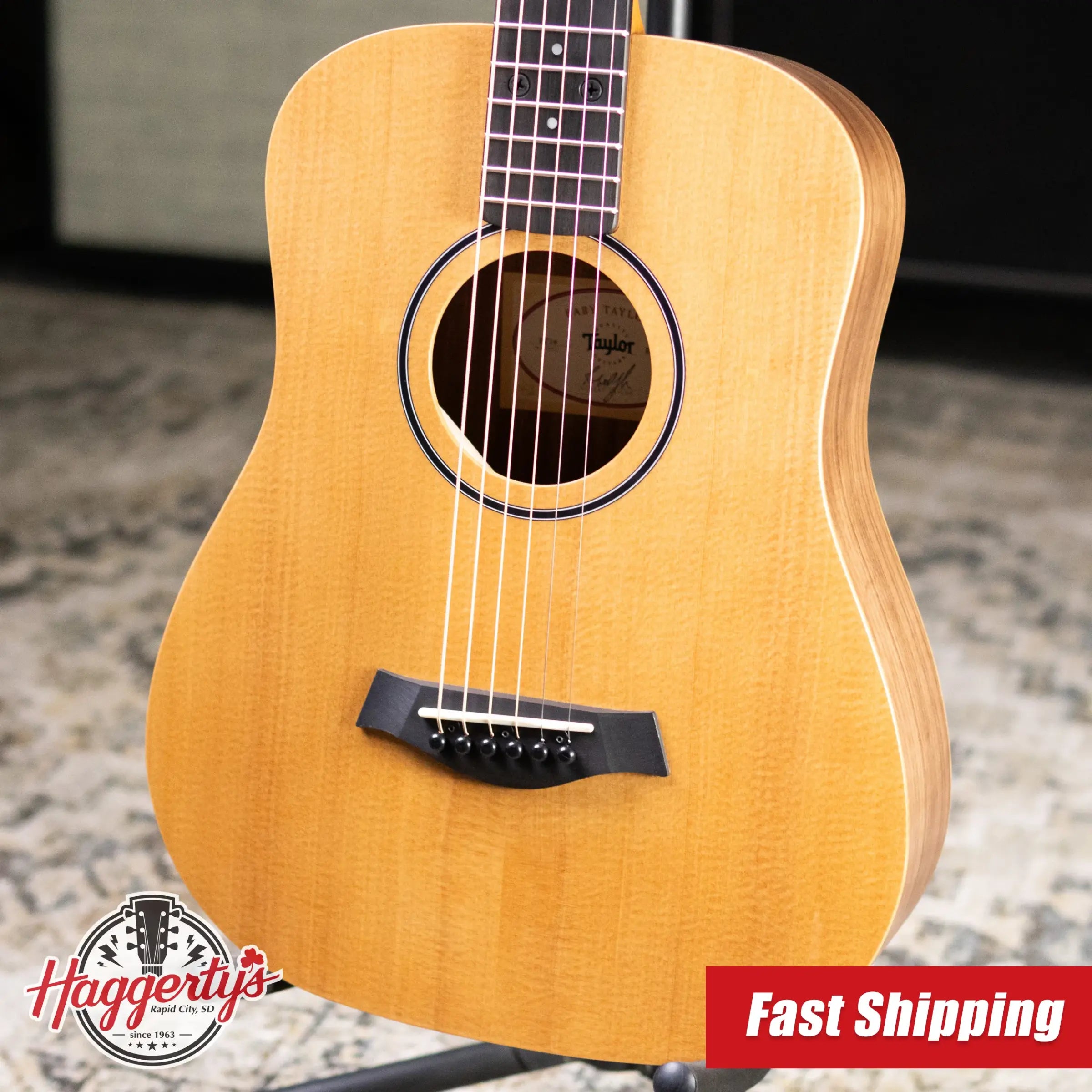 Taylor BT1e Baby Taylor Acoustic/Electric Guitar with Gig Bag