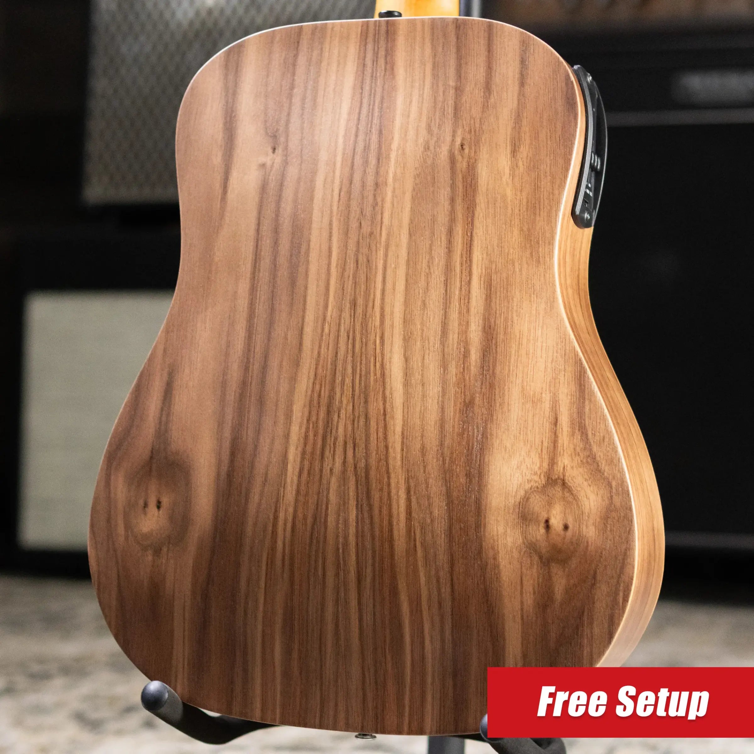 Taylor BT1e Baby Taylor Acoustic/Electric Guitar with Gig Bag