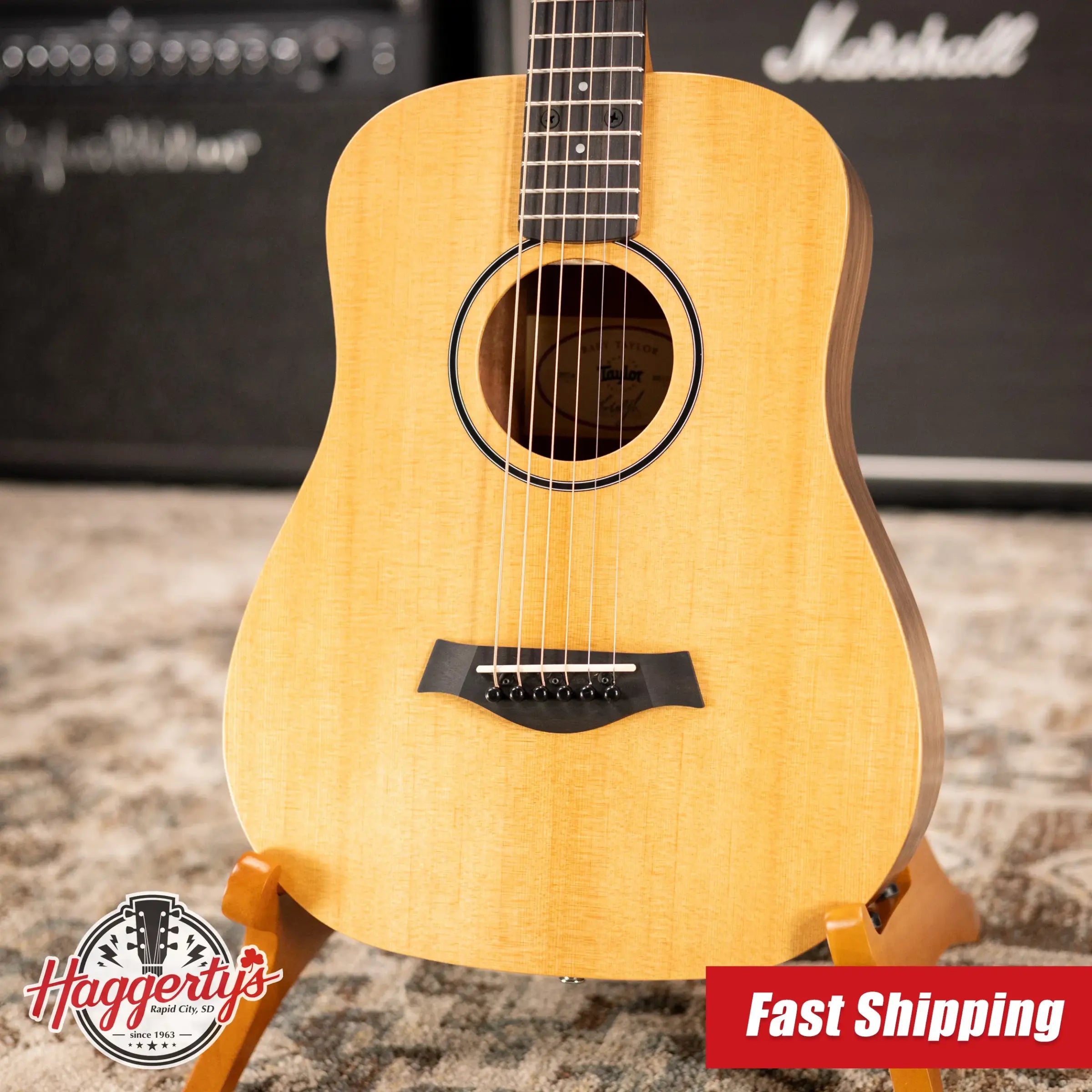 Taylor BT1e Baby Taylor Acoustic/Electric Guitar with Gig Bag