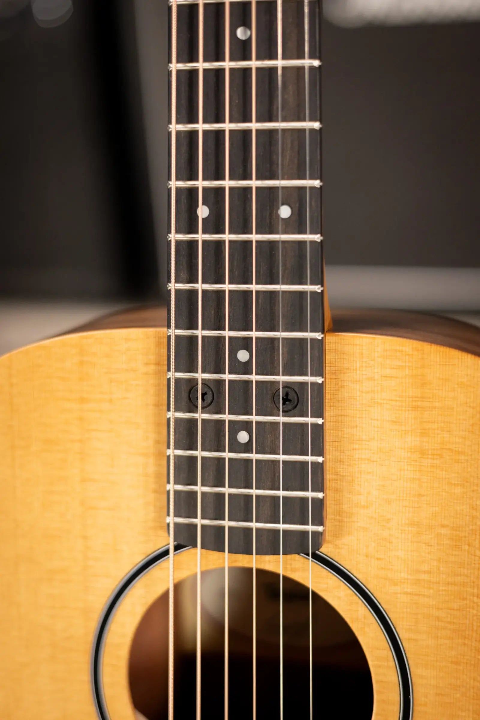 Taylor BT1e Baby Taylor Acoustic/Electric Guitar with Gig Bag