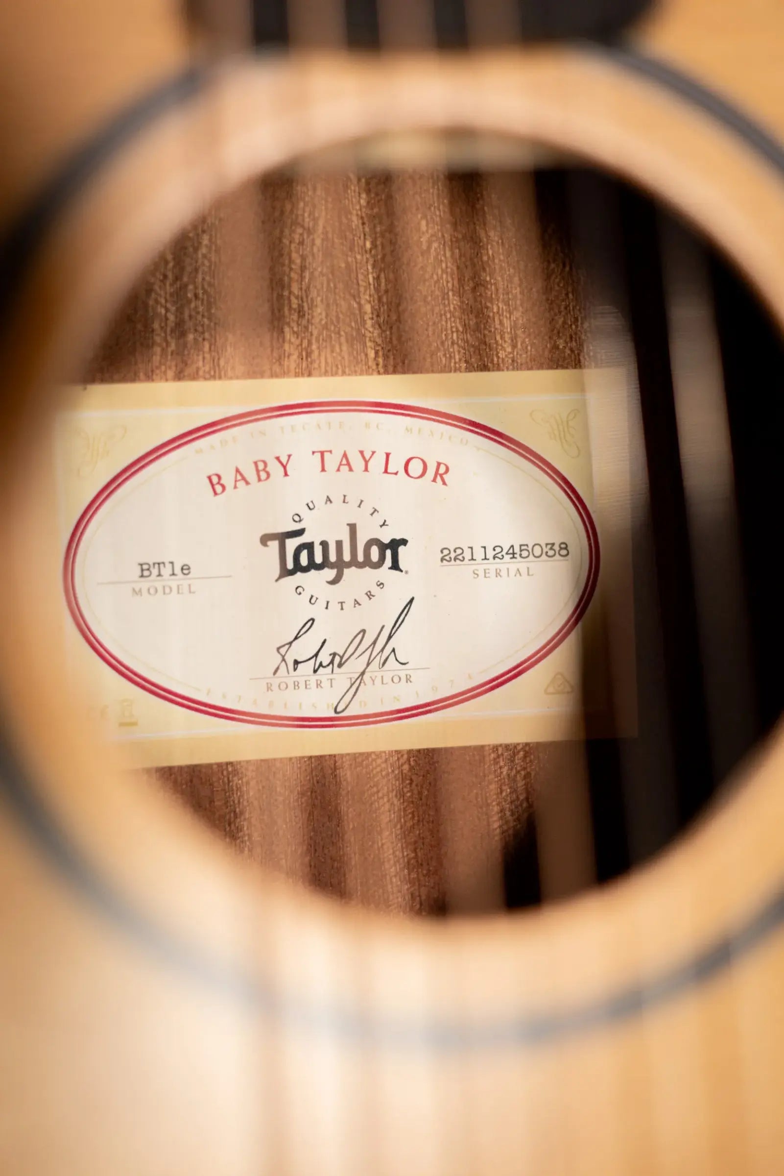 Taylor BT1e Baby Taylor Acoustic/Electric Guitar with Gig Bag