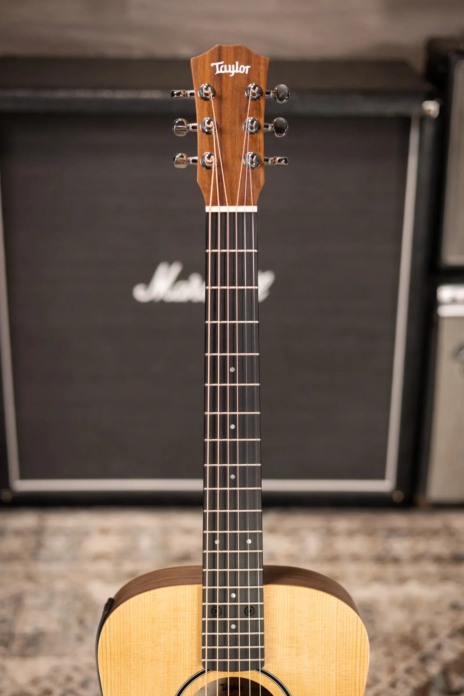 Taylor BT1e Baby Taylor Acoustic/Electric Guitar with Gig Bag