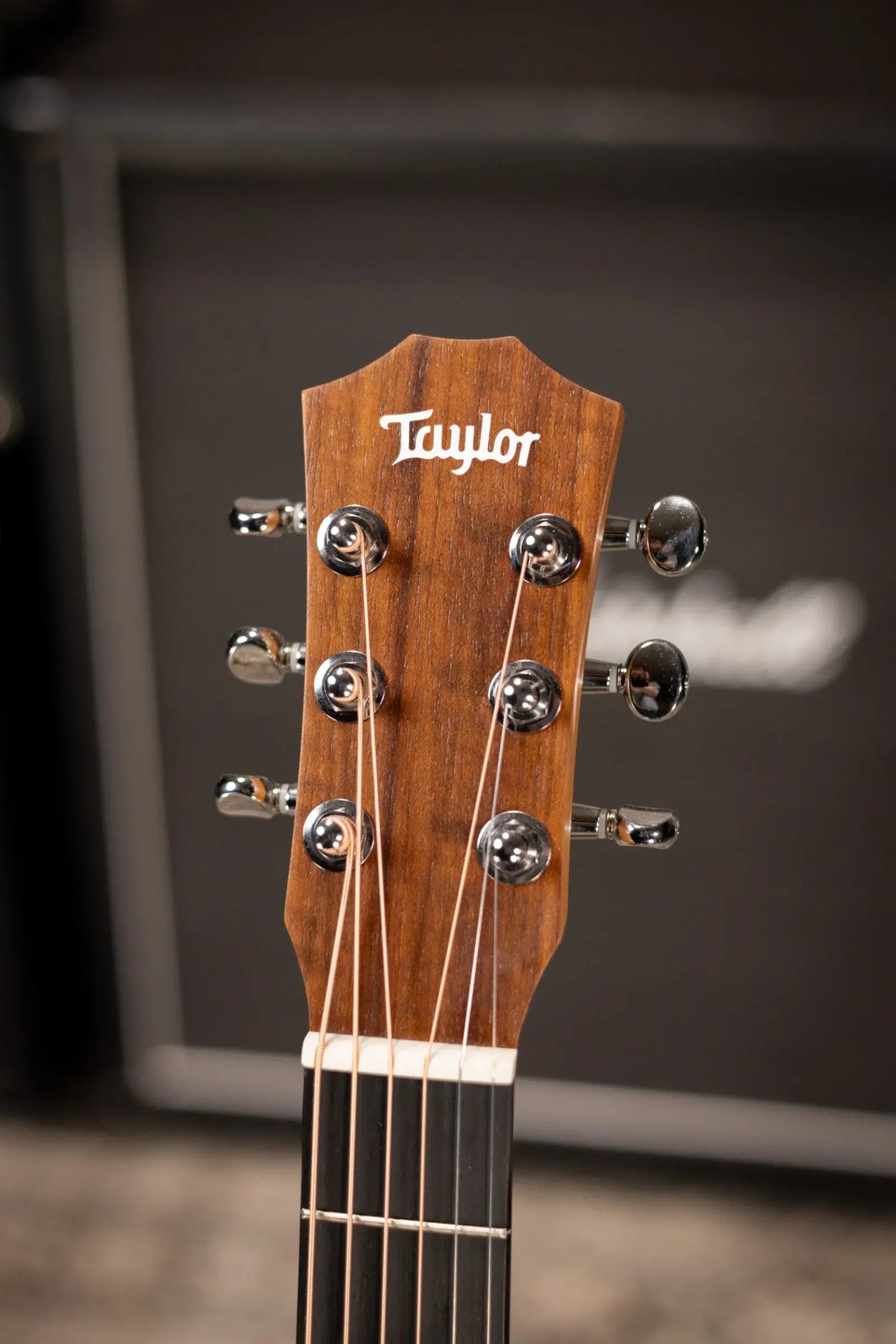Taylor BT1e Baby Taylor Acoustic/Electric Guitar with Gig Bag