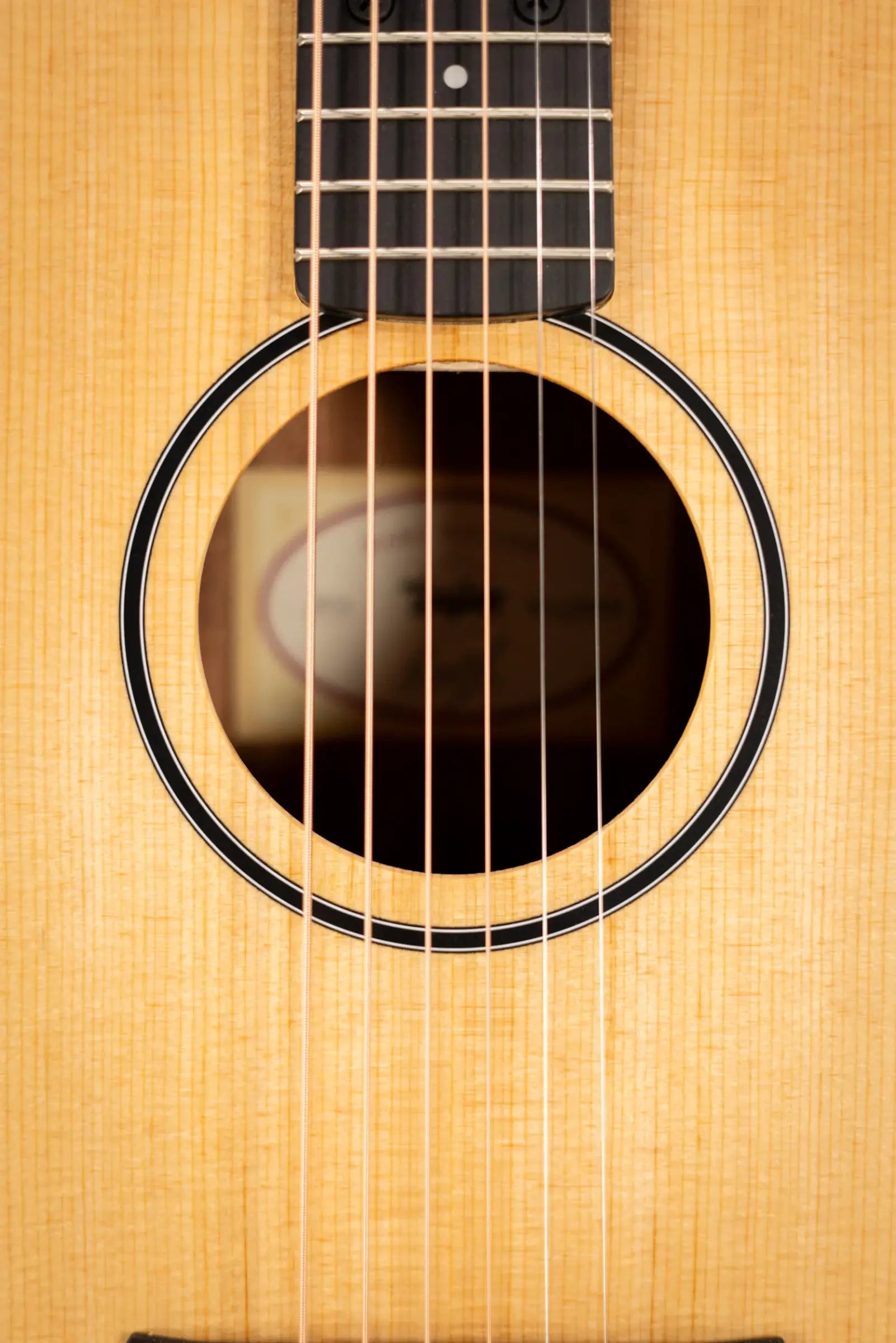 Taylor BT1e Baby Taylor Acoustic/Electric Guitar with Gig Bag