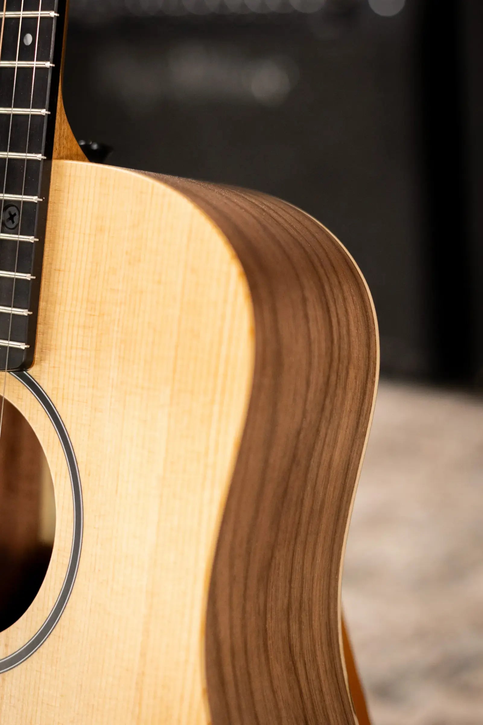 Taylor BT1e Baby Taylor Acoustic/Electric Guitar with Gig Bag