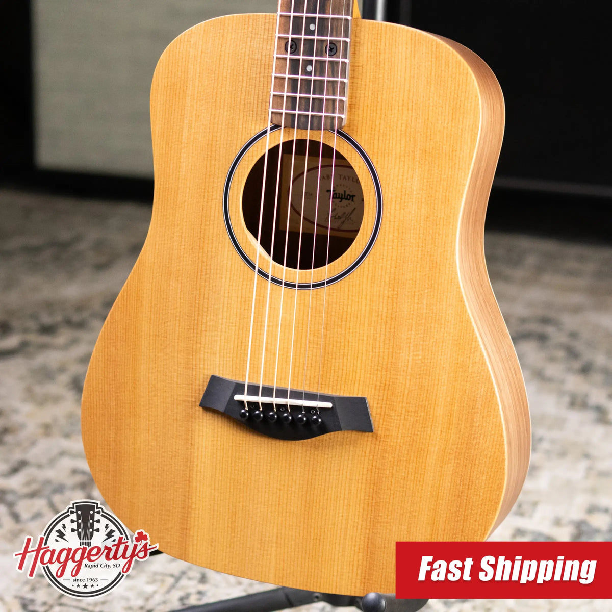 Taylor BT1e Baby Taylor Acoustic/Electric Guitar with Gig Bag