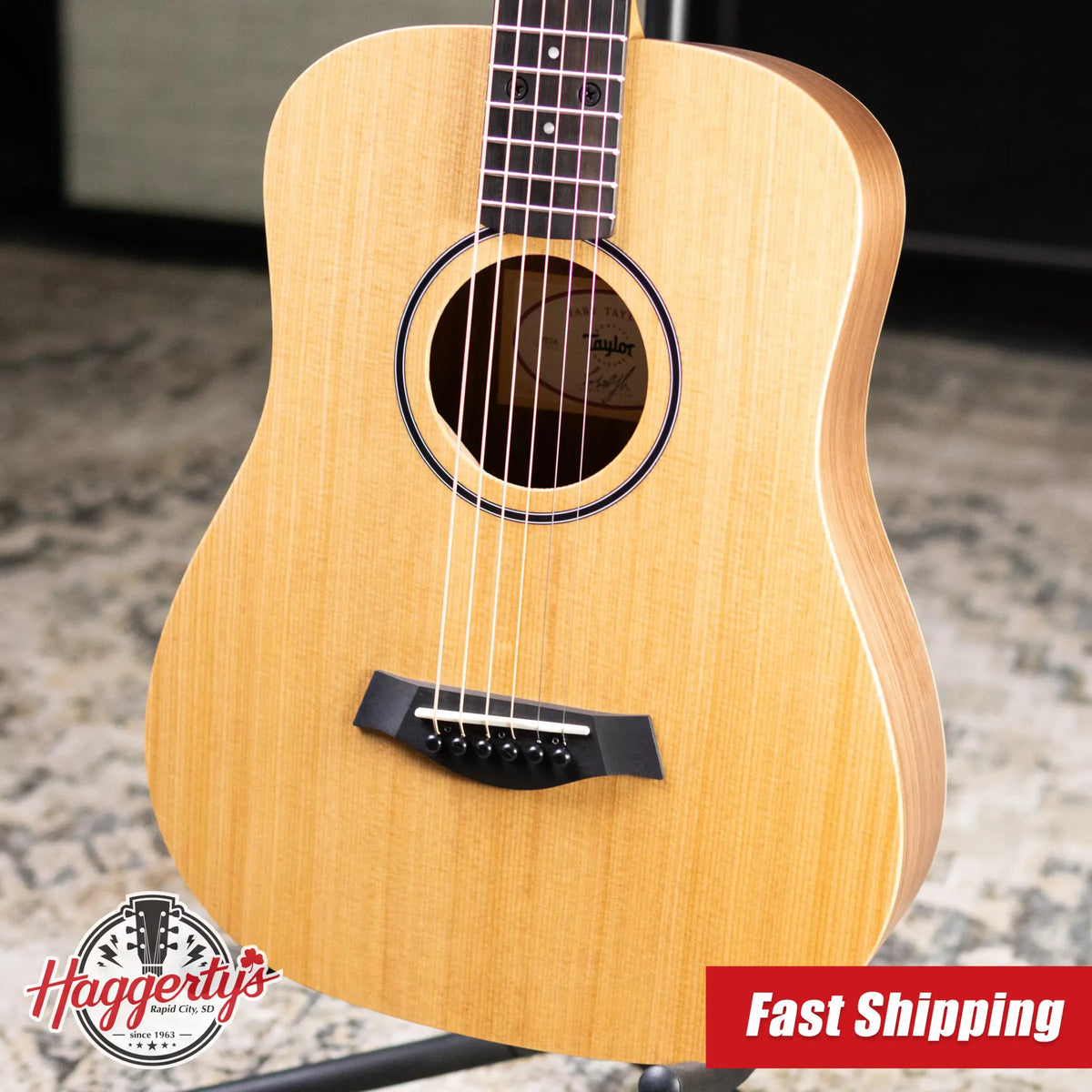 Taylor BT1e Baby Taylor Acoustic/Electric Guitar with Gig Bag