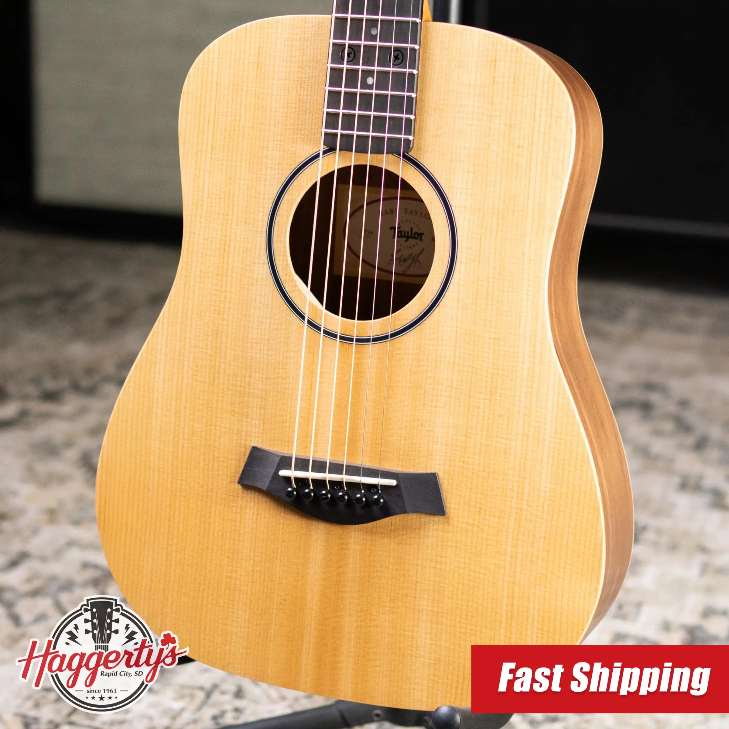 Taylor BT1e Baby Taylor Acoustic/Electric Guitar with Gig Bag