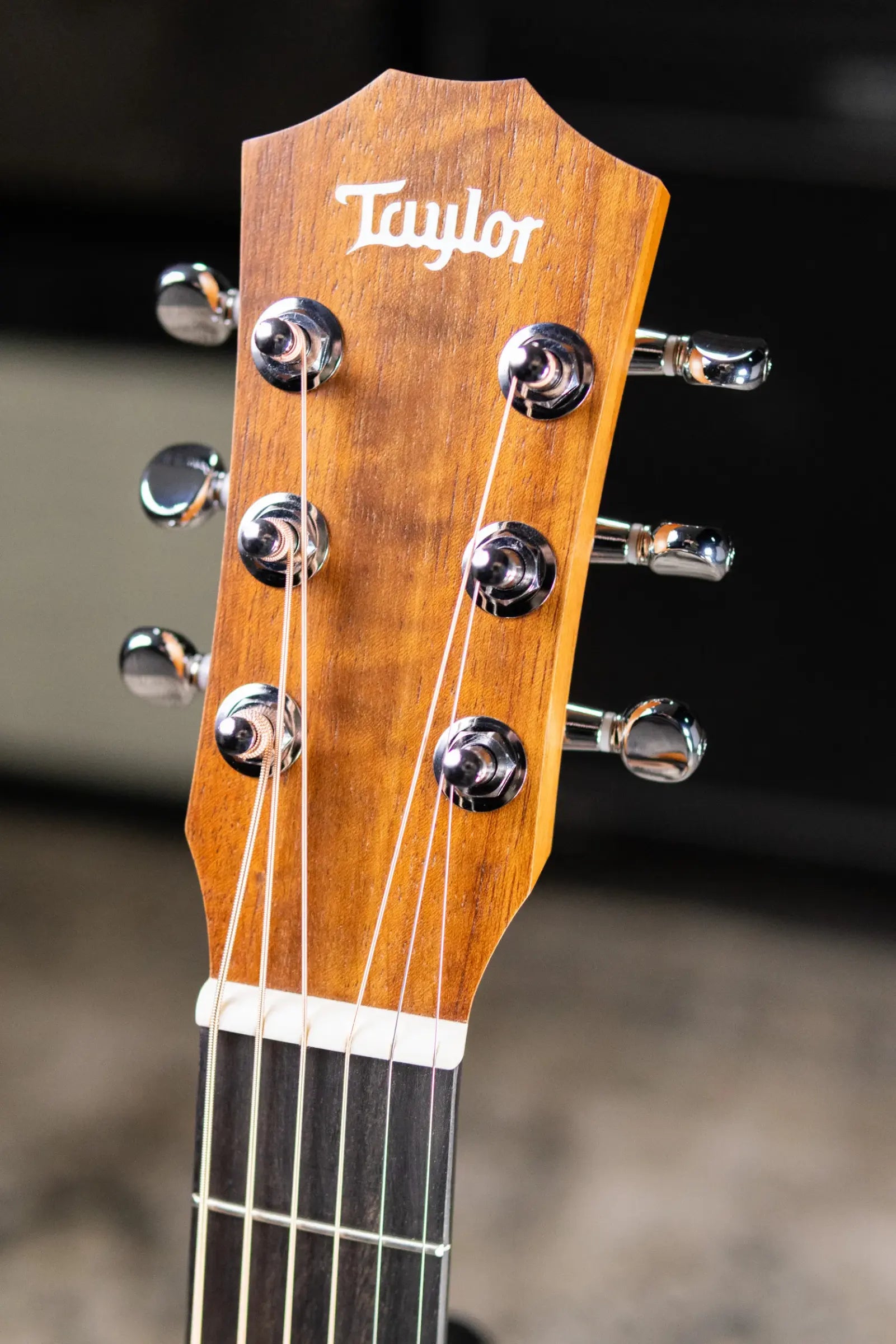 Taylor BT1e Baby Taylor Acoustic/Electric Guitar with Gig Bag